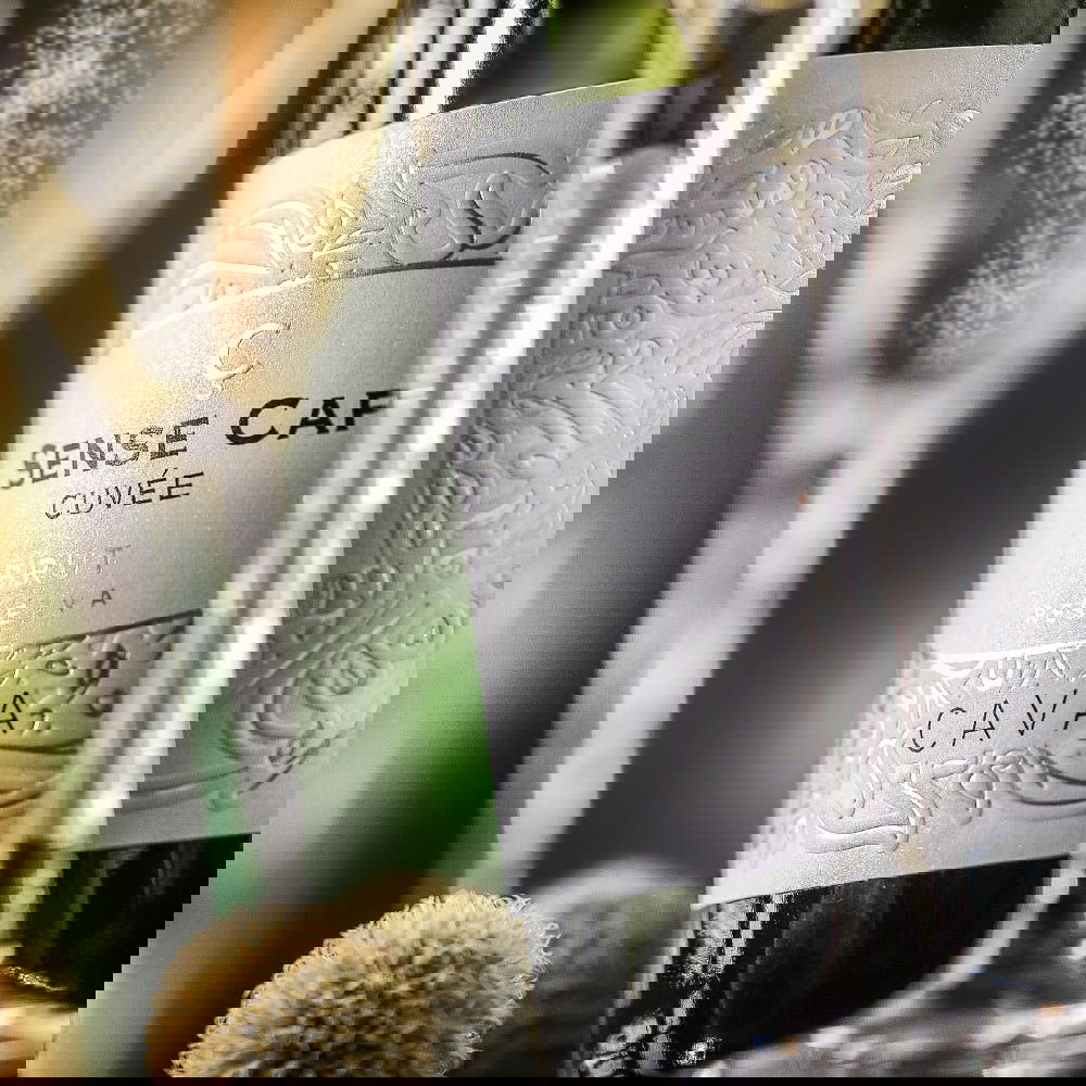 Cava Reserva 2021 Sense Cap Brut Bio