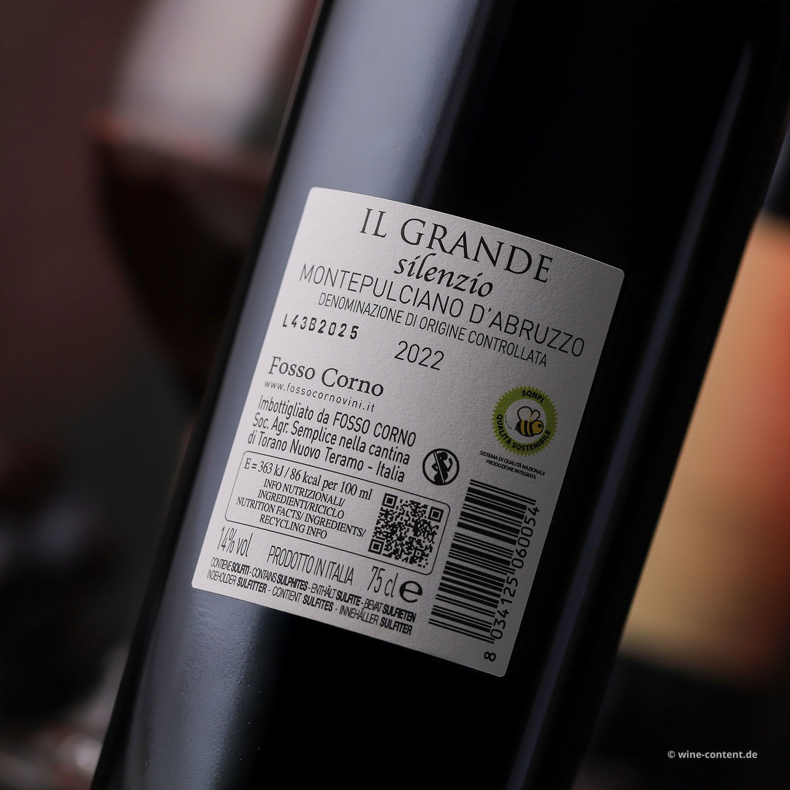 Montepulciano d'Abruzzo 2022 Il Grande Silenzio