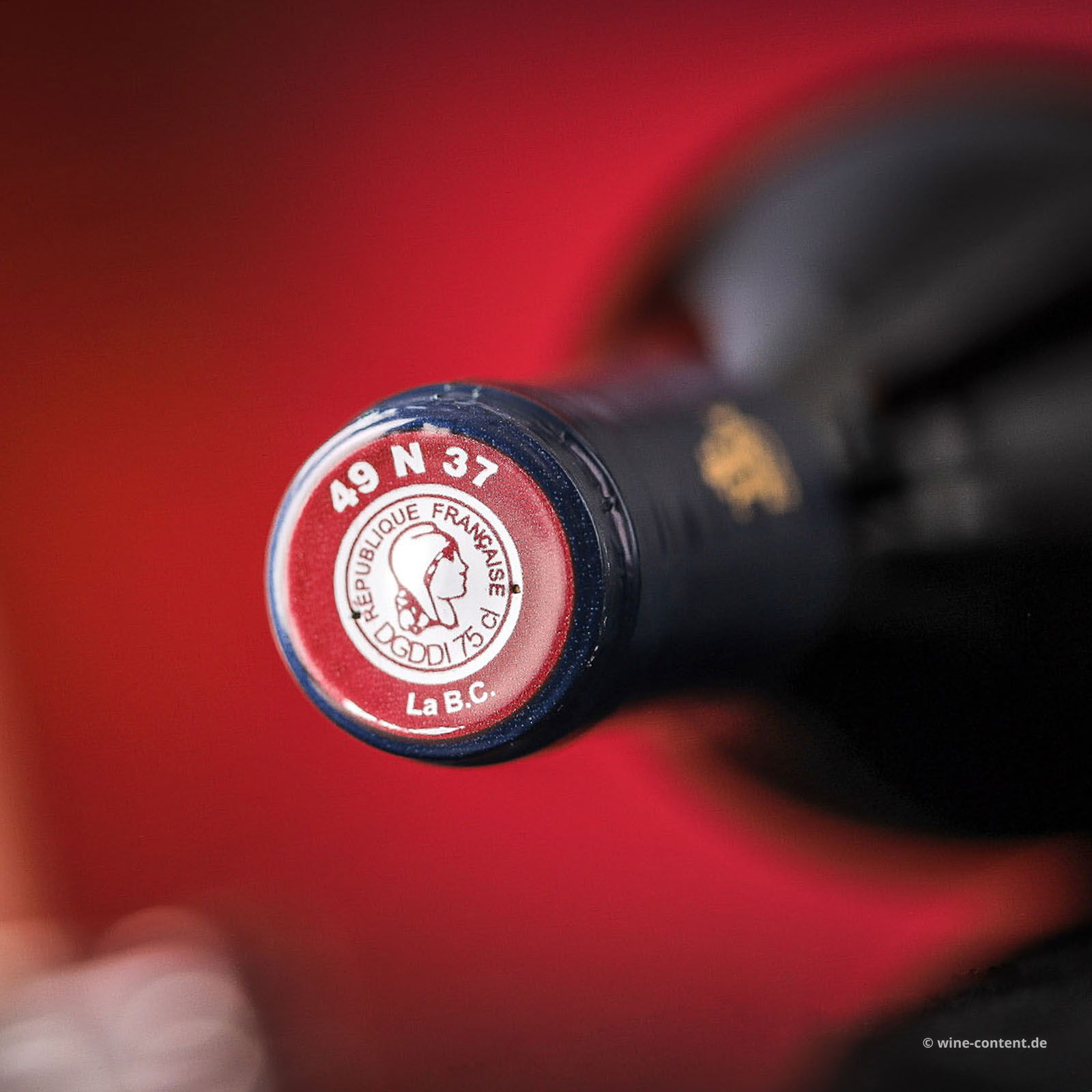 Bourgueil 2022 Jean Carmet Bio