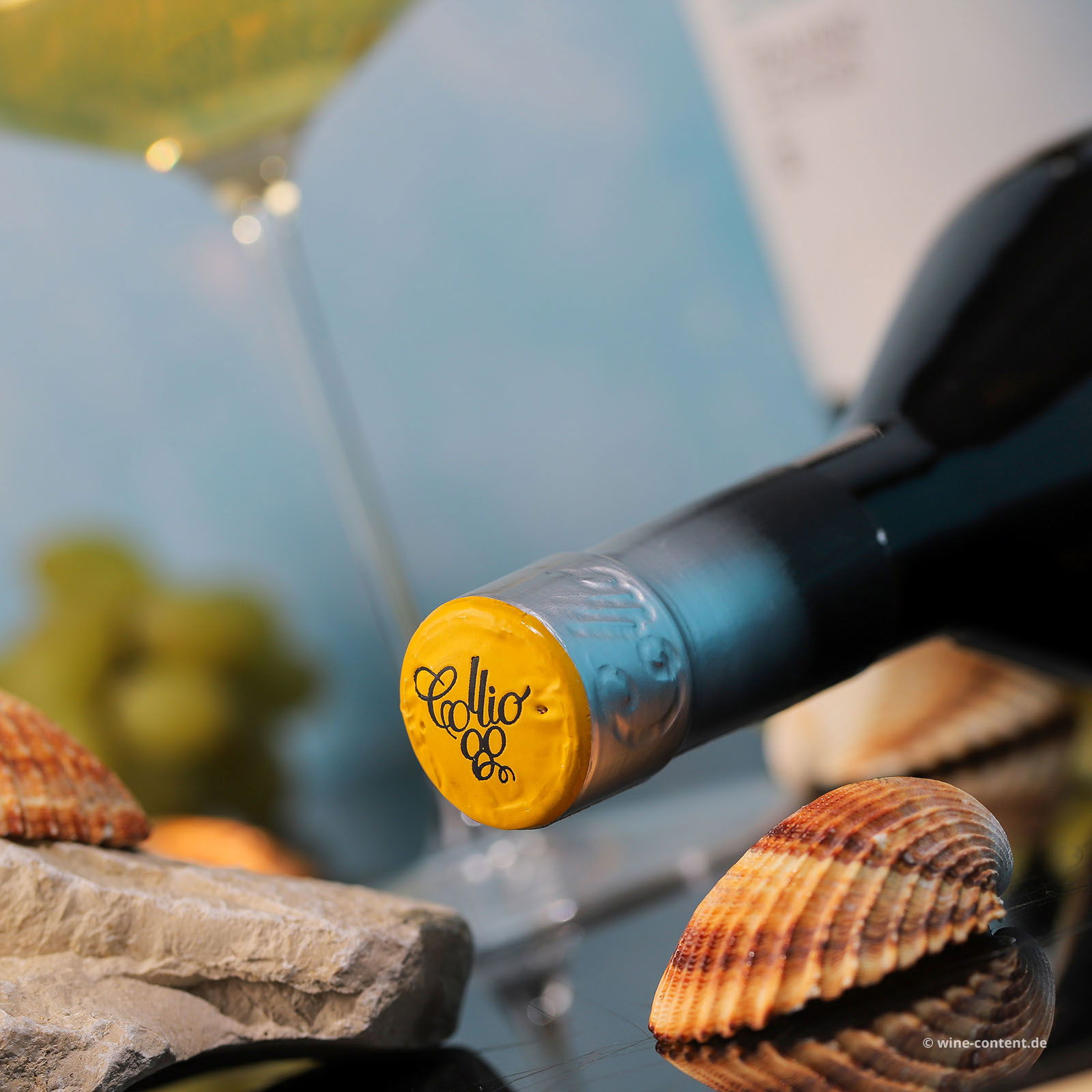 Malvasia Collio 2023