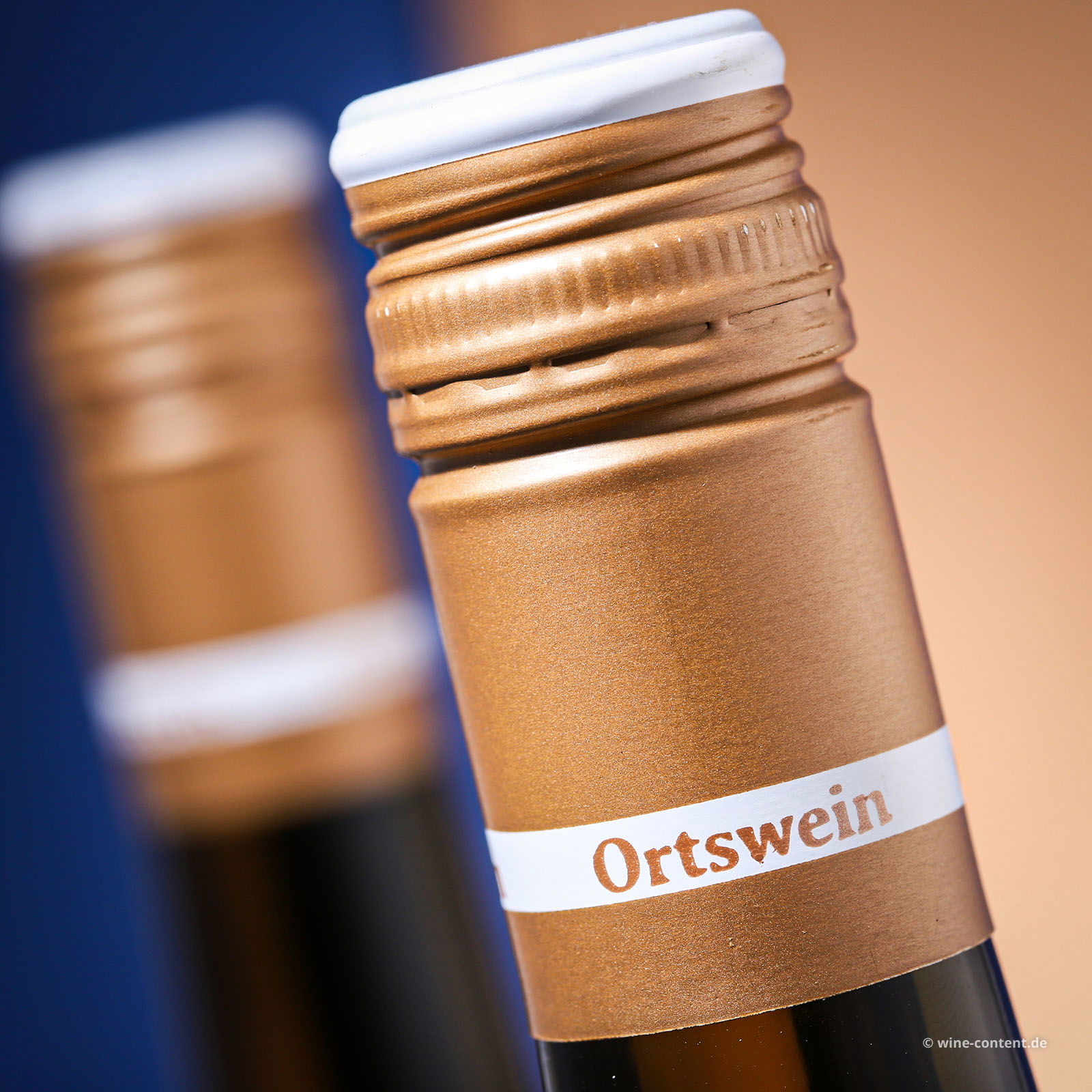 Riesling 2023 Wintersheim