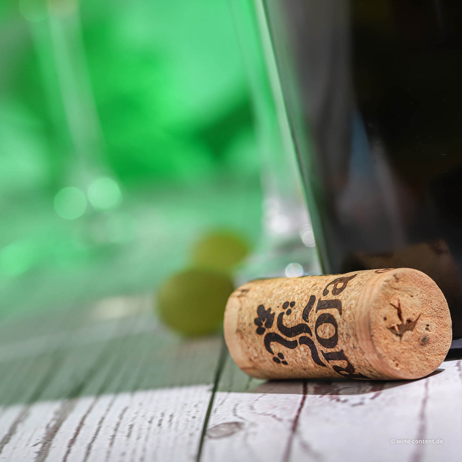 Rioja Blanco 2021 Don Quintin Ortega