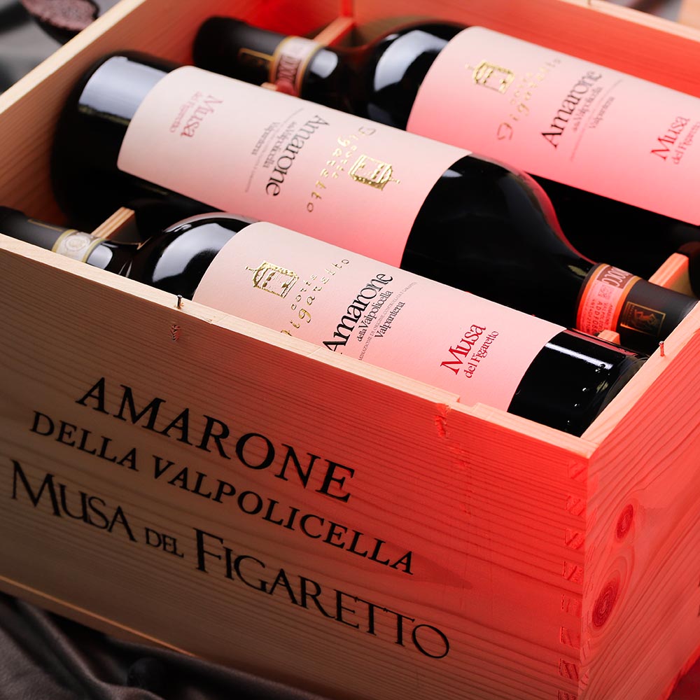 6er-Holzkiste Amarone Valpantena 2020 Musa del Figaretto