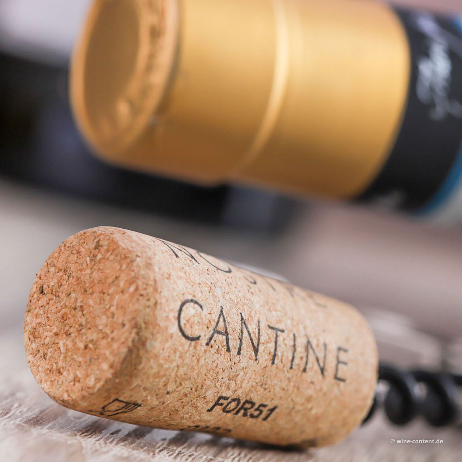 Lugana 2024 Maria Pia