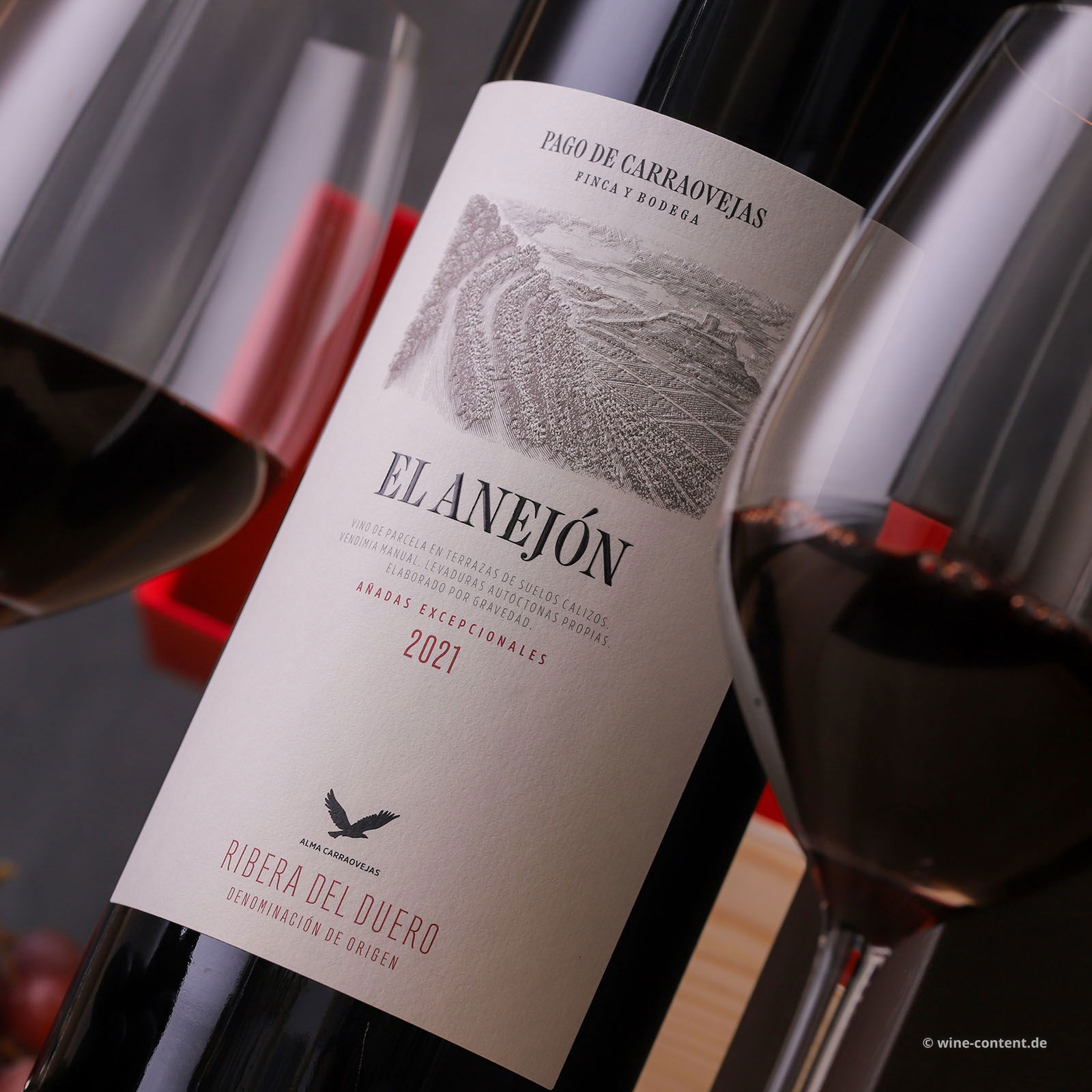 El Anejón 2021 Magnum