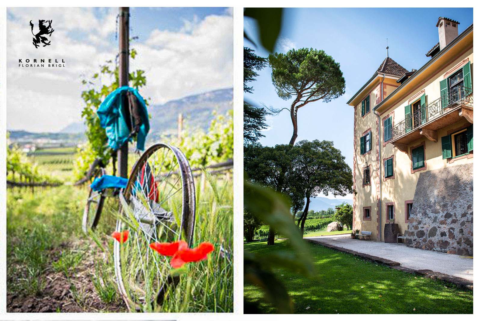 Sauvignon Blanc 2022 Oberberg