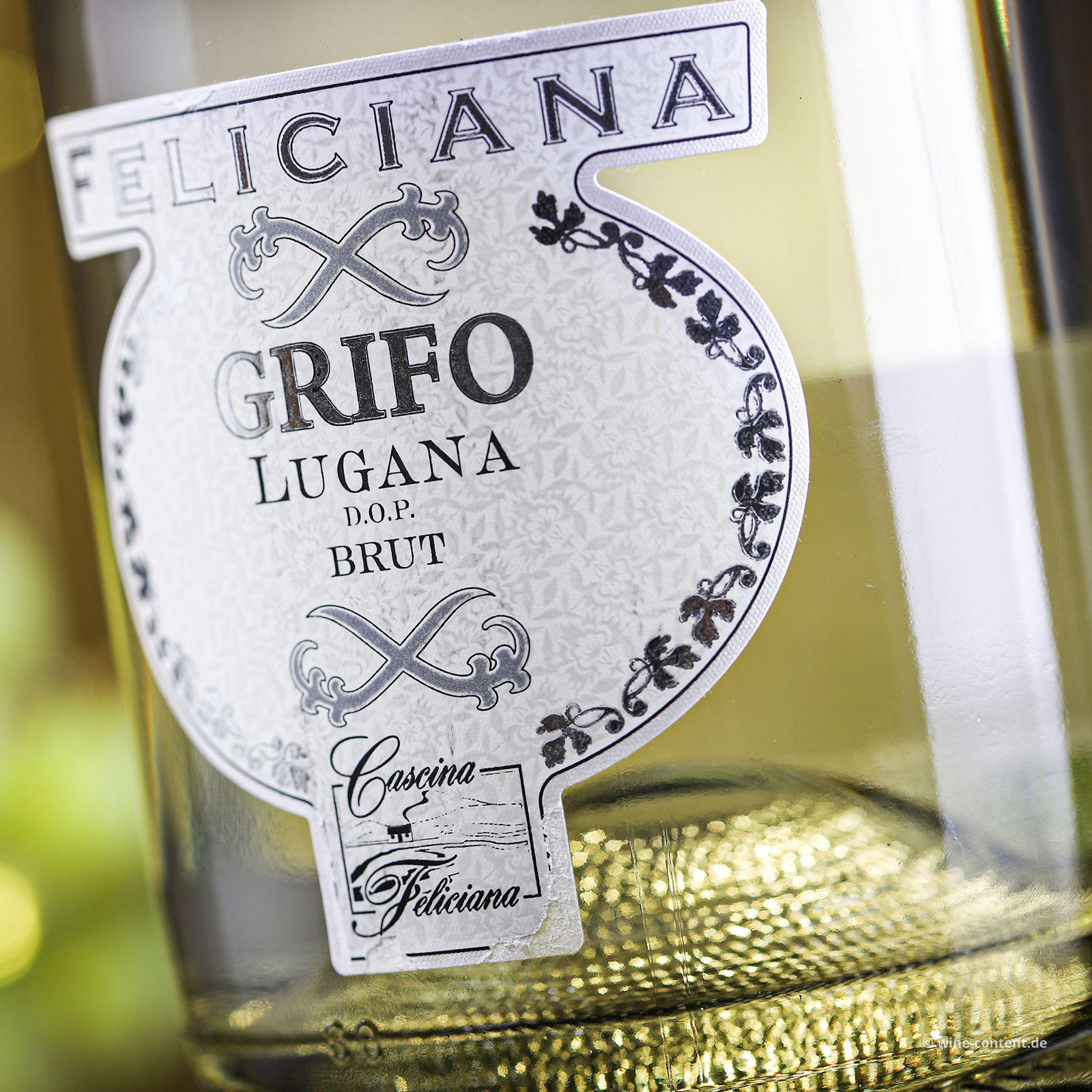 Lugana Spumante Grifo Brut