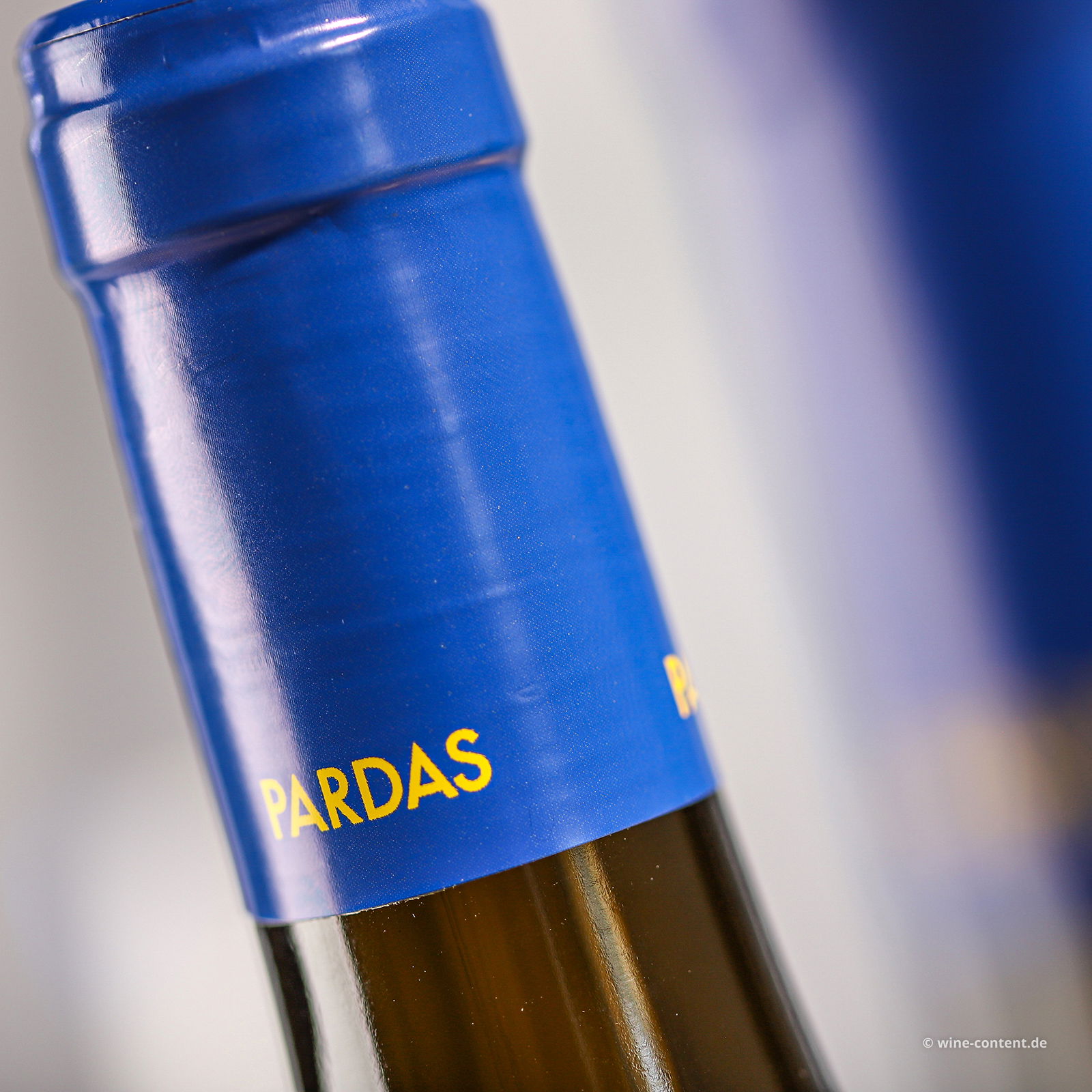 Pell a Pell 2022 Bio