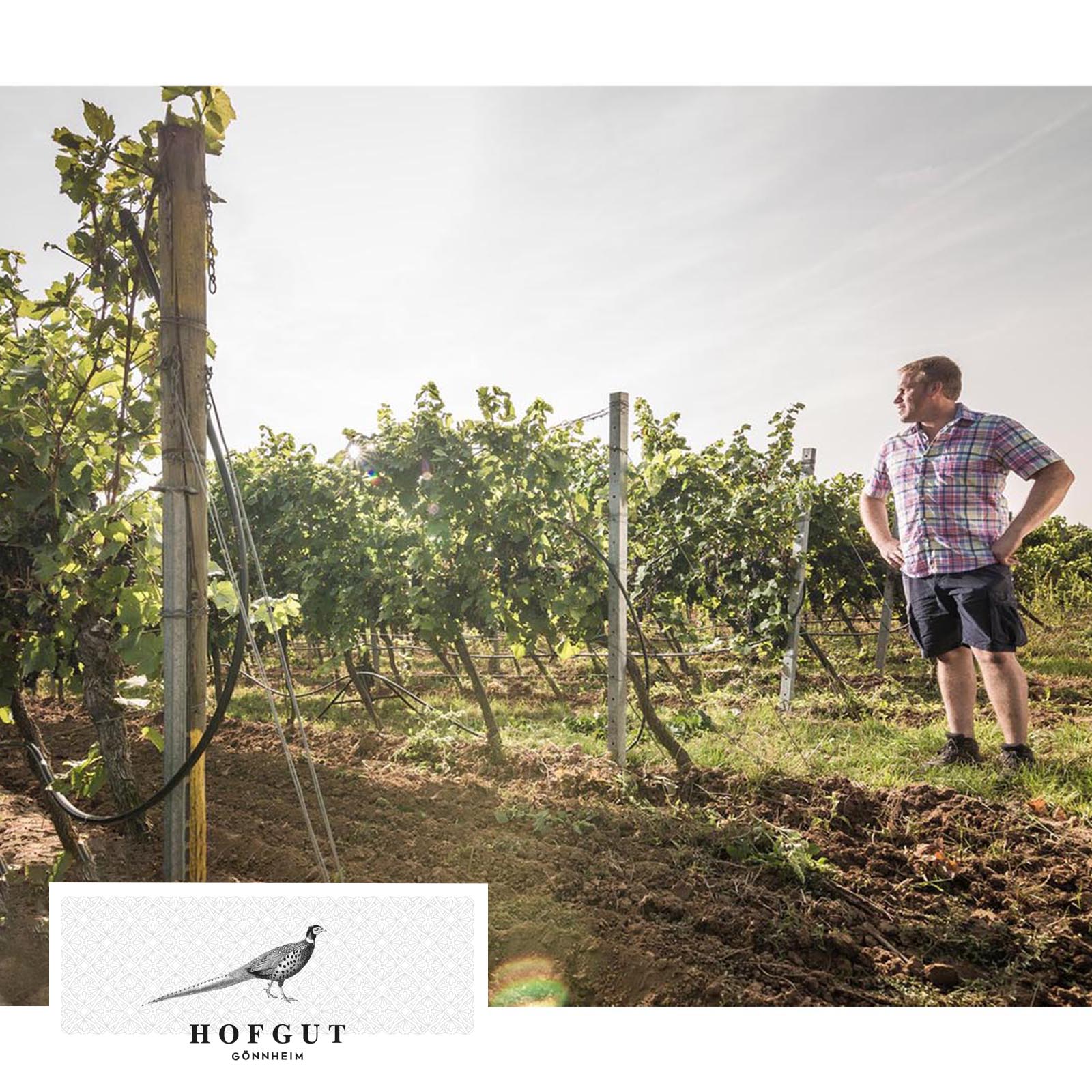 Riesling 2025 Gönnheim Bio