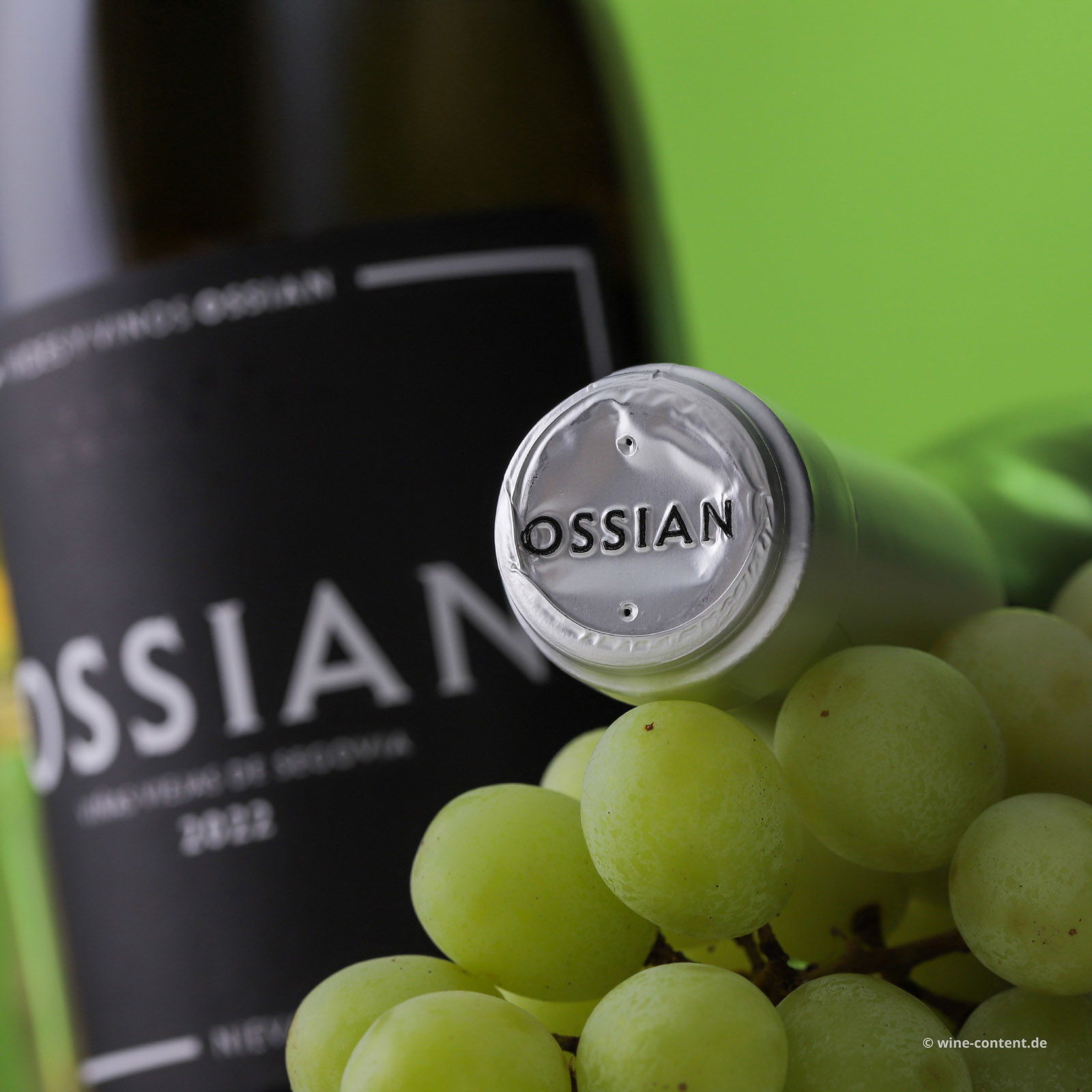 Verdejo 2022 Ossian Bio