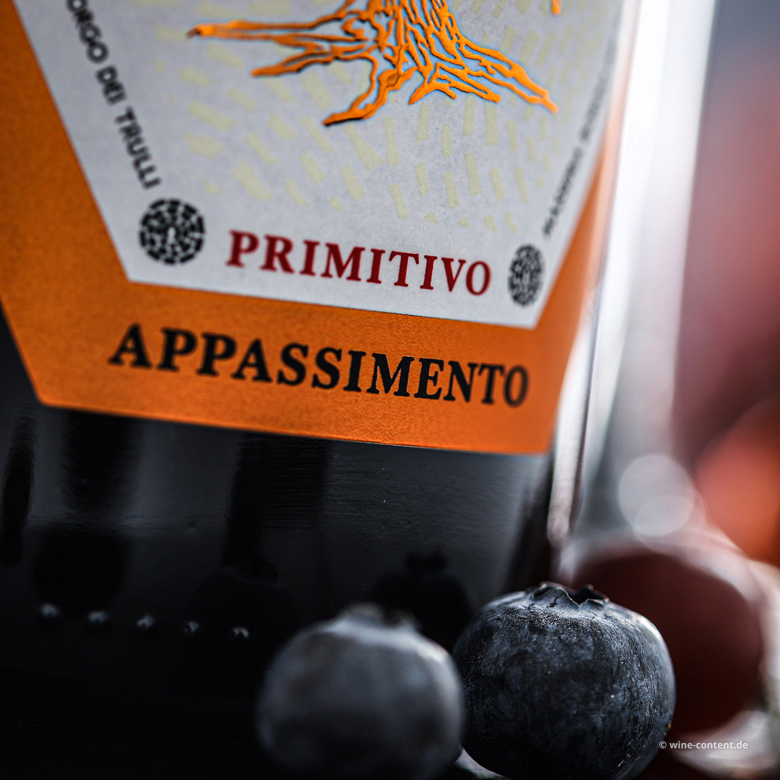 Primitivo Appassimento 2025 Lucale