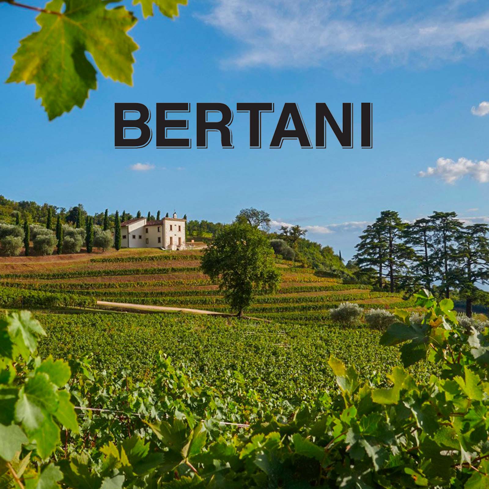 Amarone Classico 2015