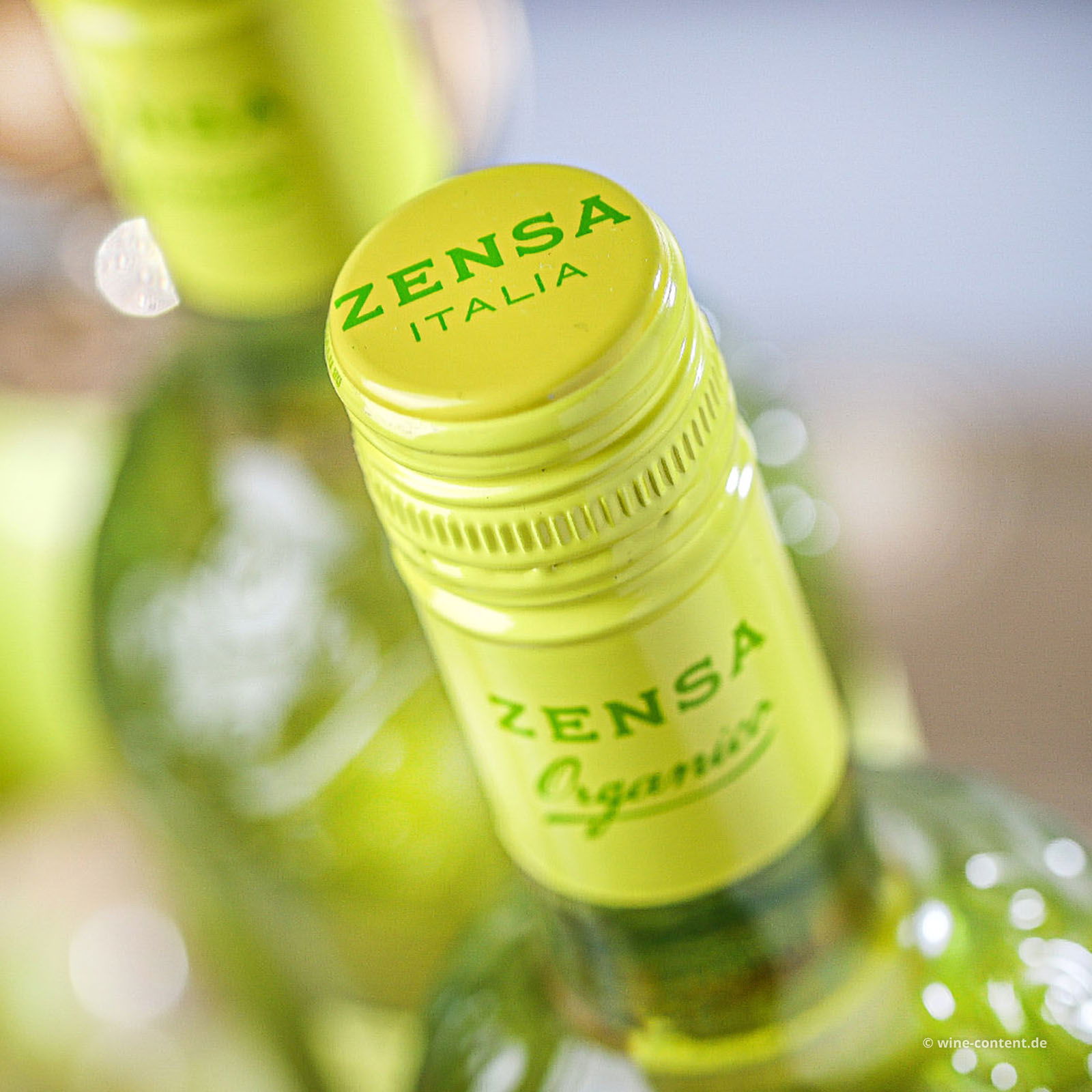 Pinot Grigio Puglia 2024 Bio