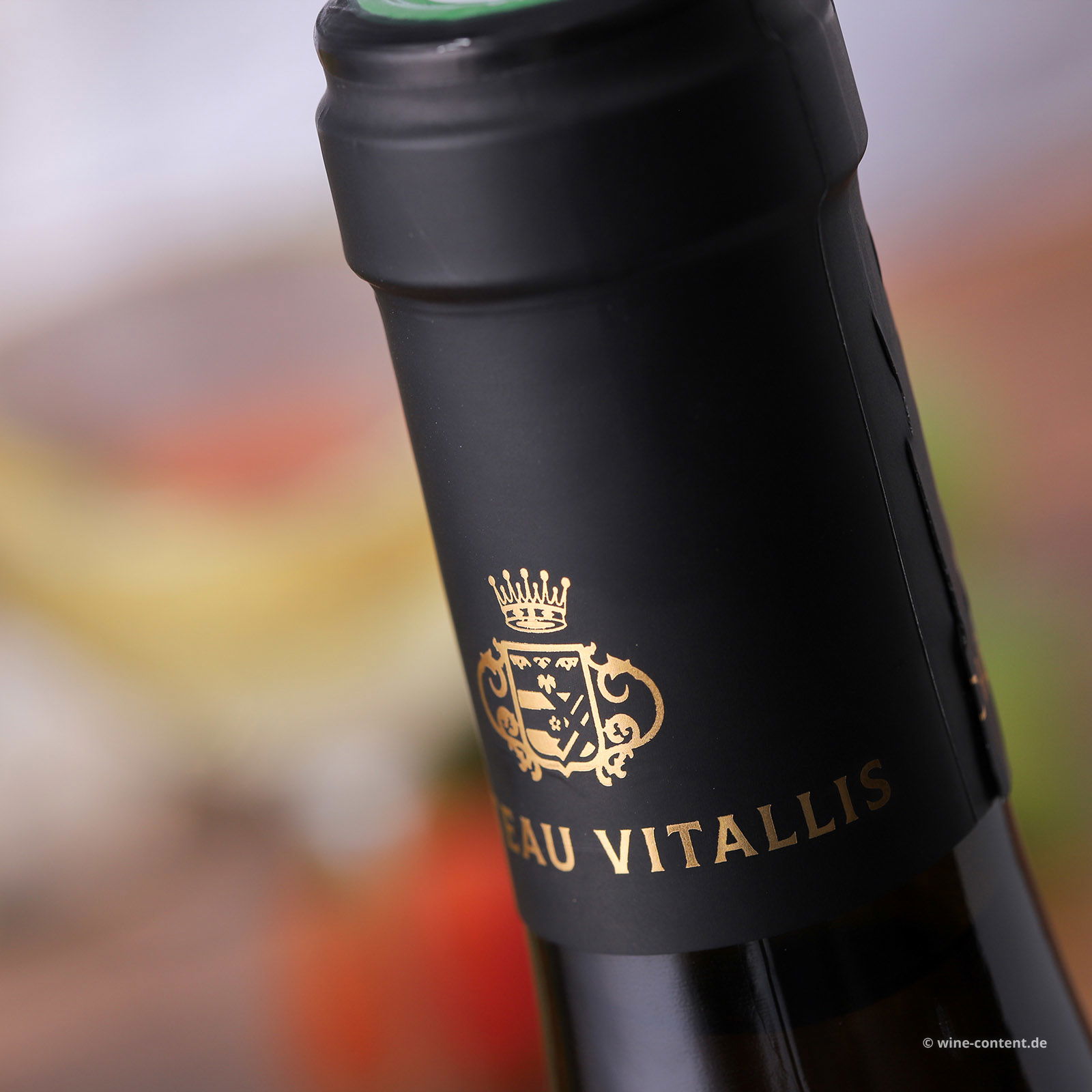 Mâcon-Vinzelles 2024 En Paradis