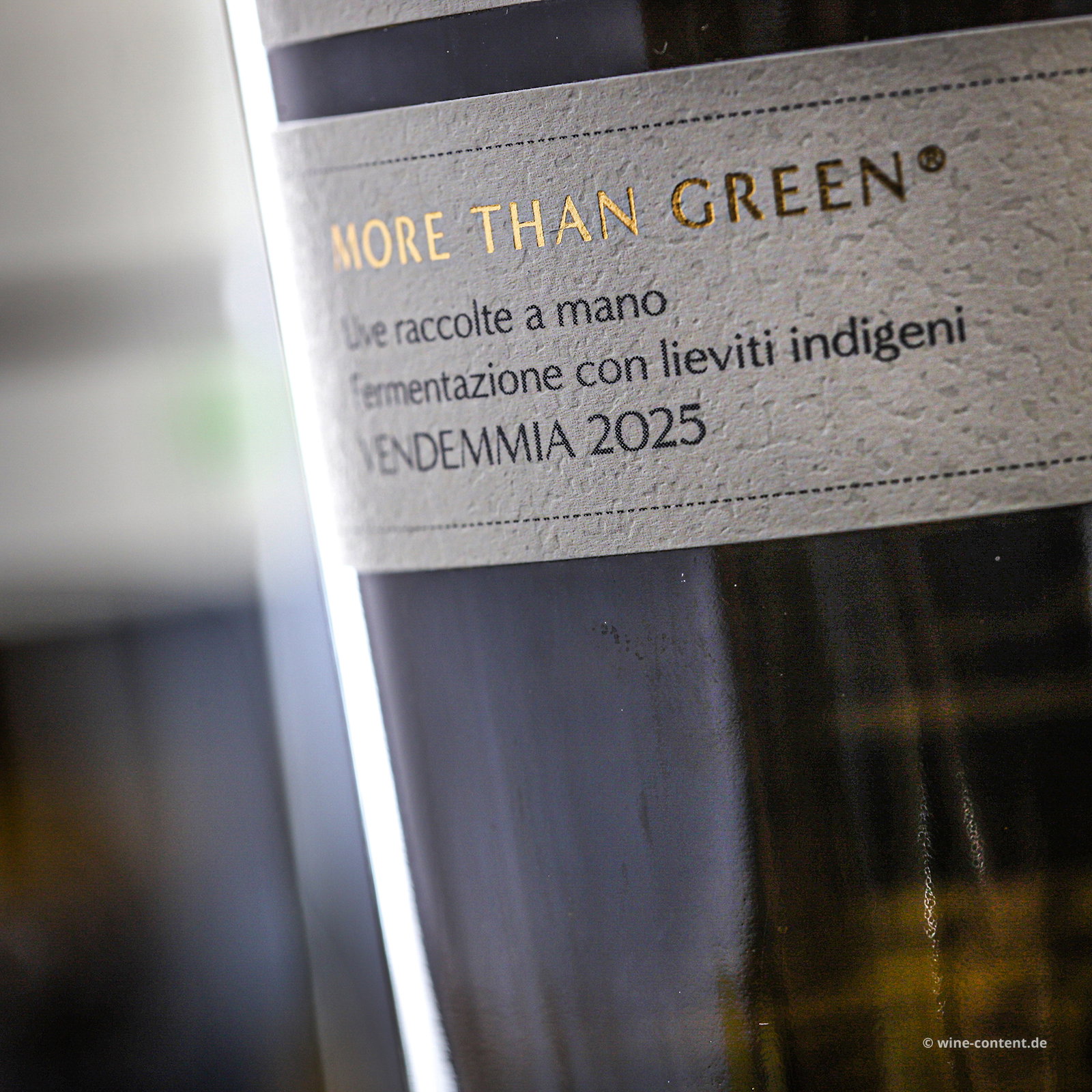 Lugana 2025 Catulliano Bio