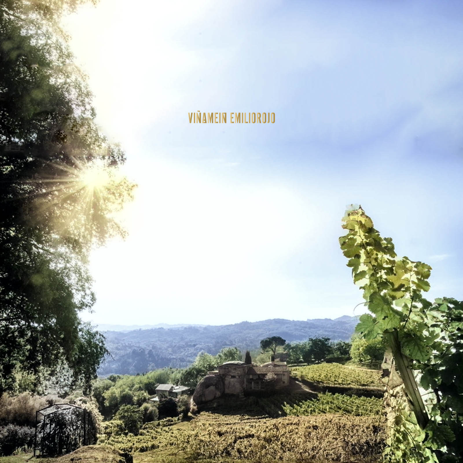 Ribeiro Blanco 2020 O Gran Meín