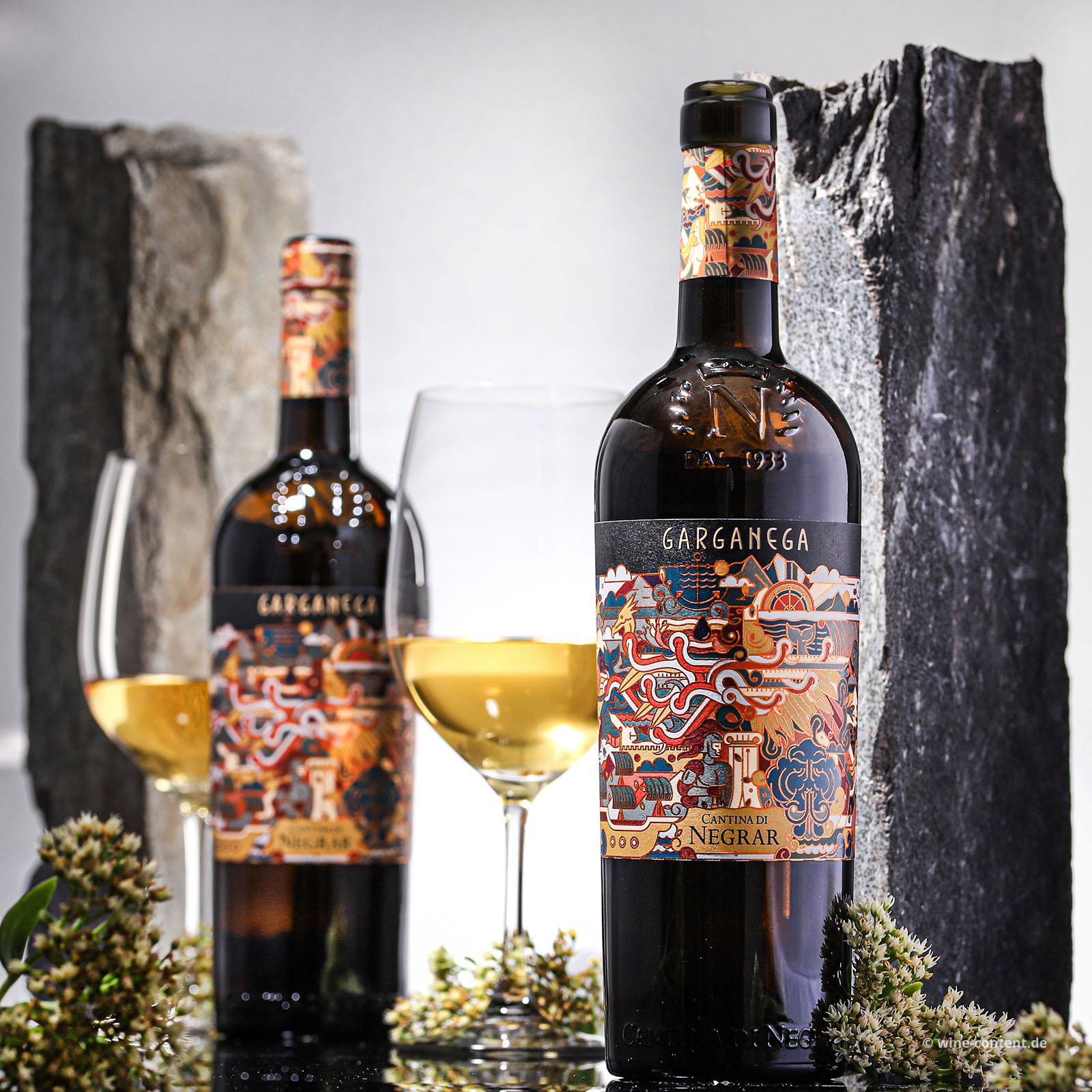 Garganega 2025 Il Viaggo