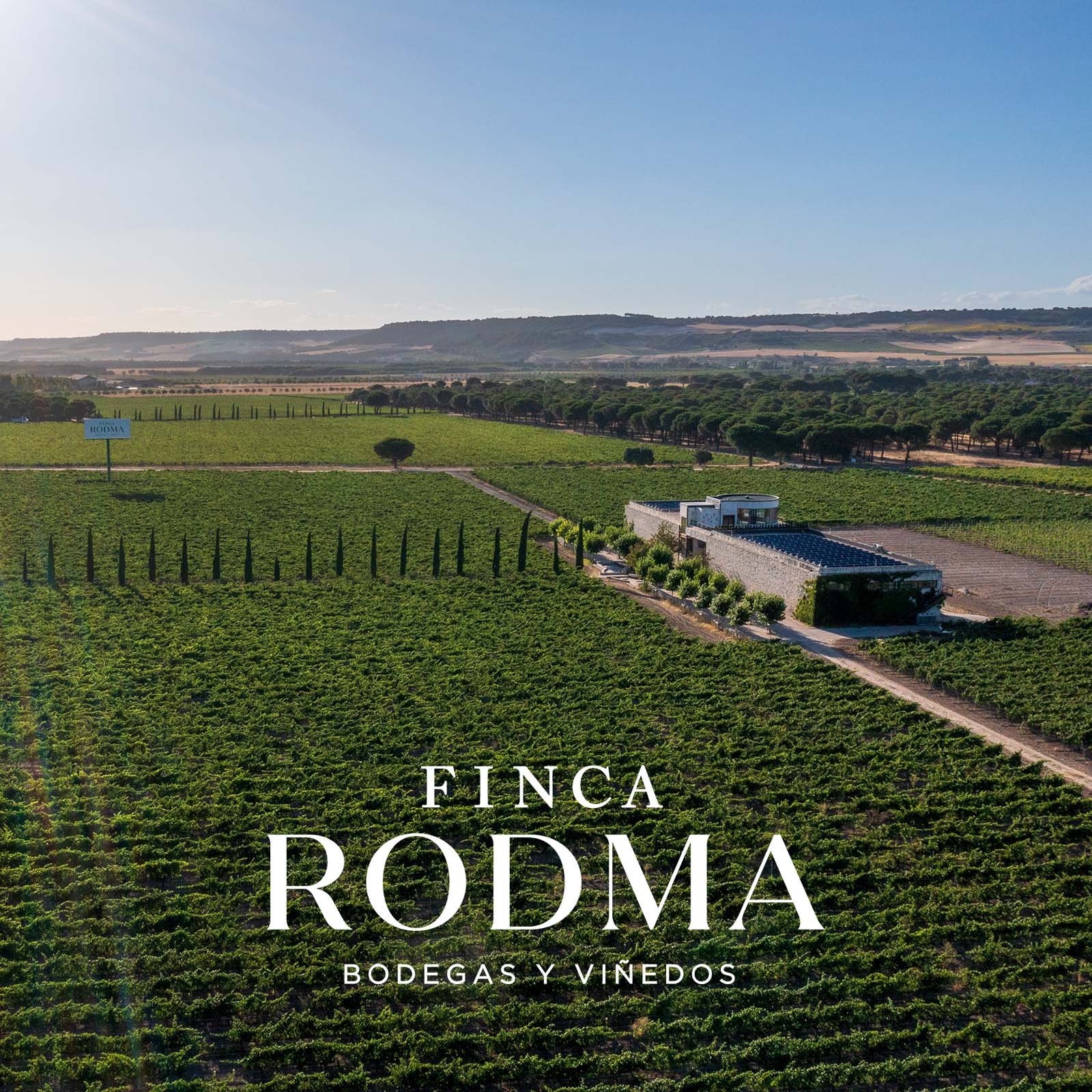 Tempranillo 2021 Avizor