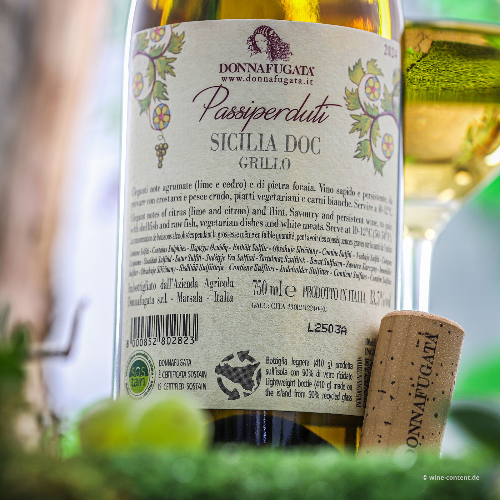 Grillo Sicilia 2024 Passiperduti