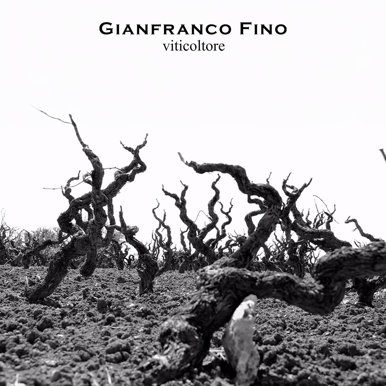 Negroamaro Salento 2023 jo