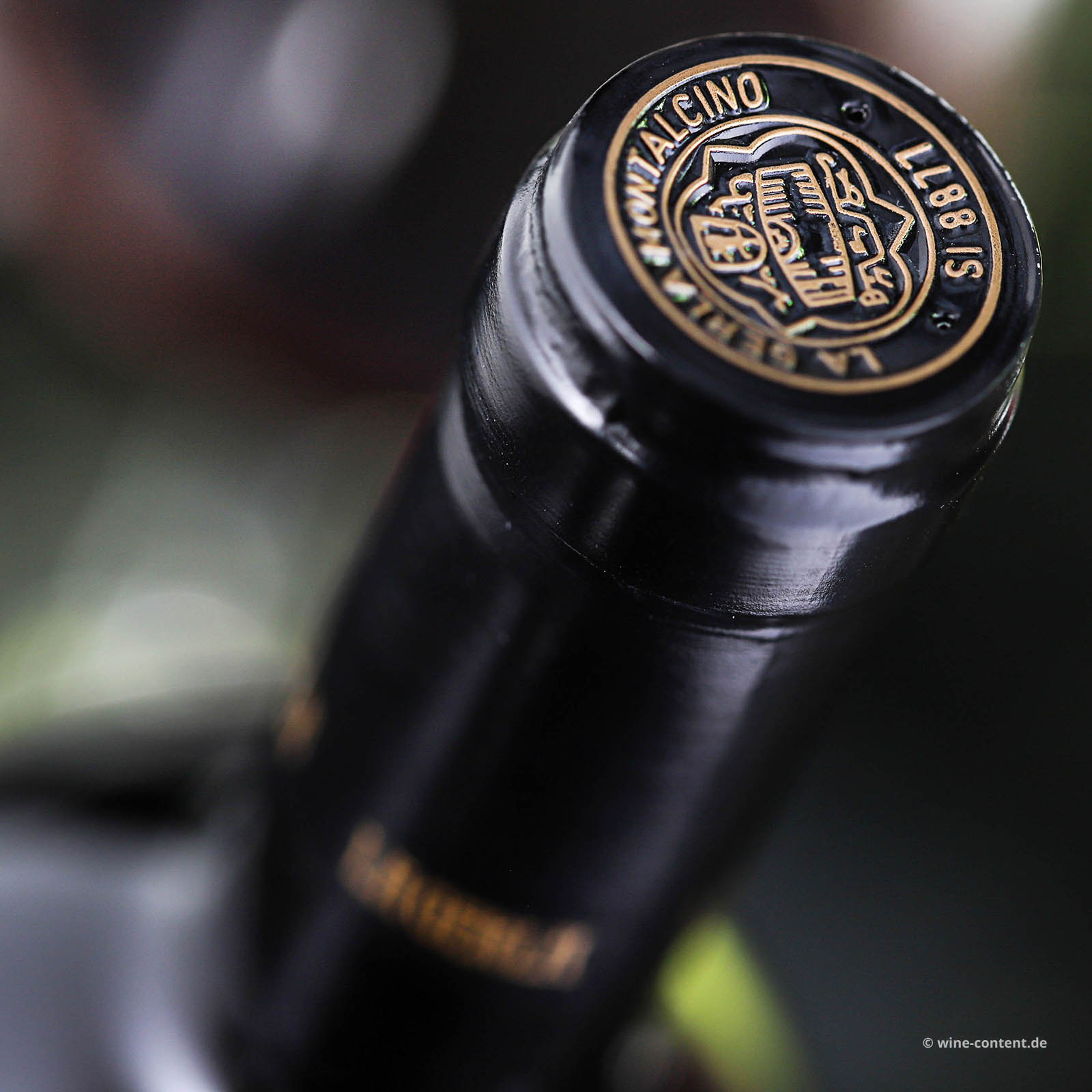 Brunello di Montalcino 2019 La Pieve