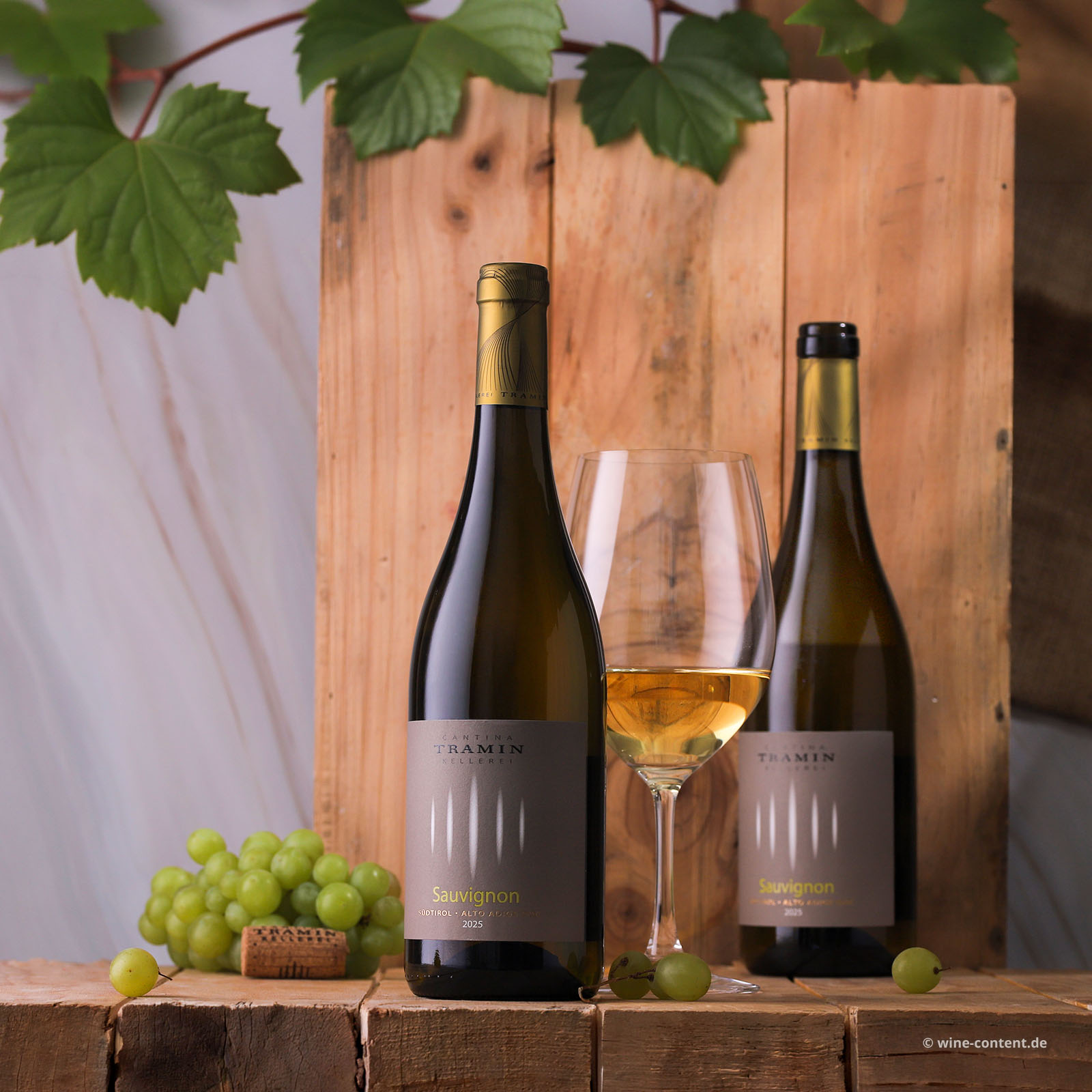 Sauvignon 2025 Classic