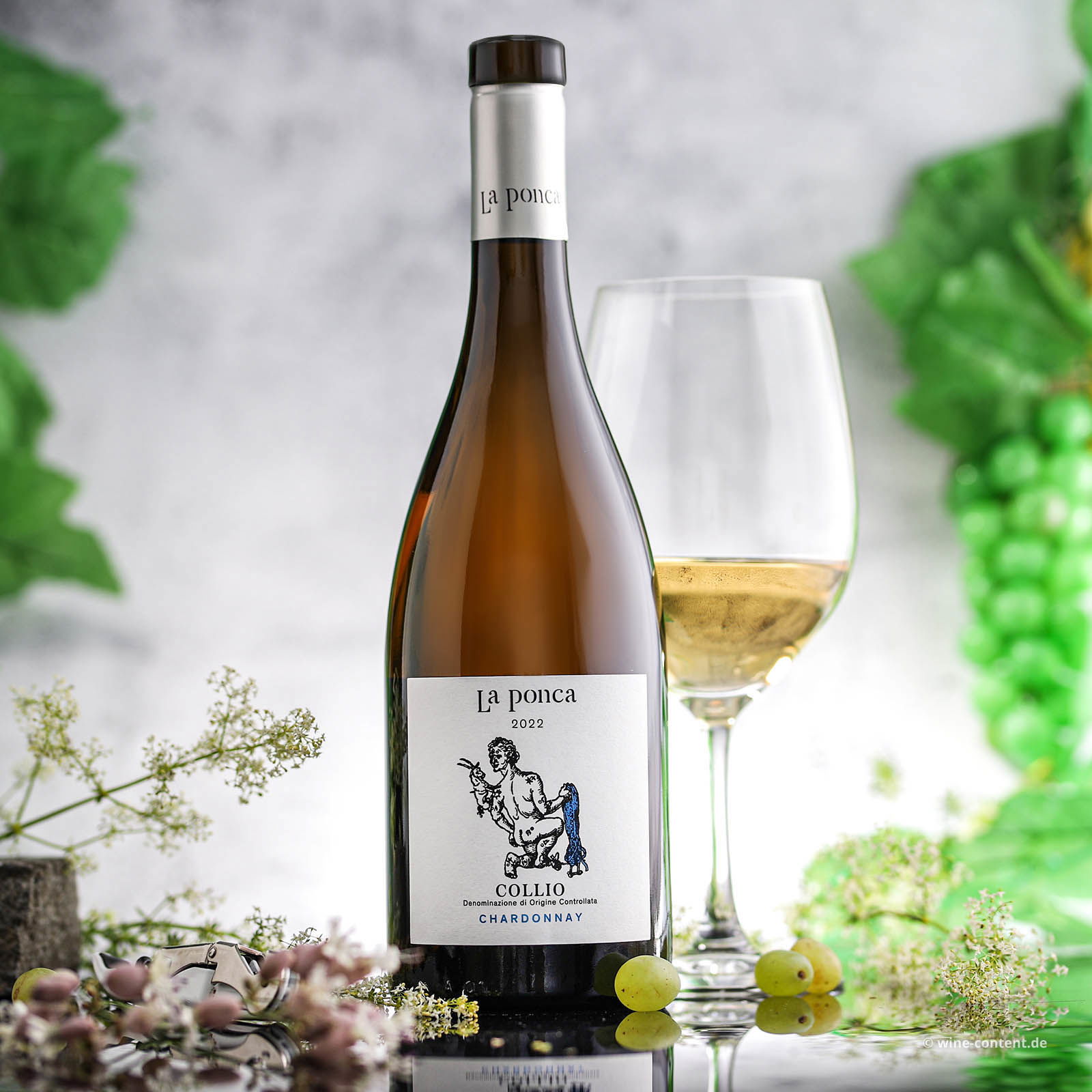 Chardonnay Collio 2022 Bio