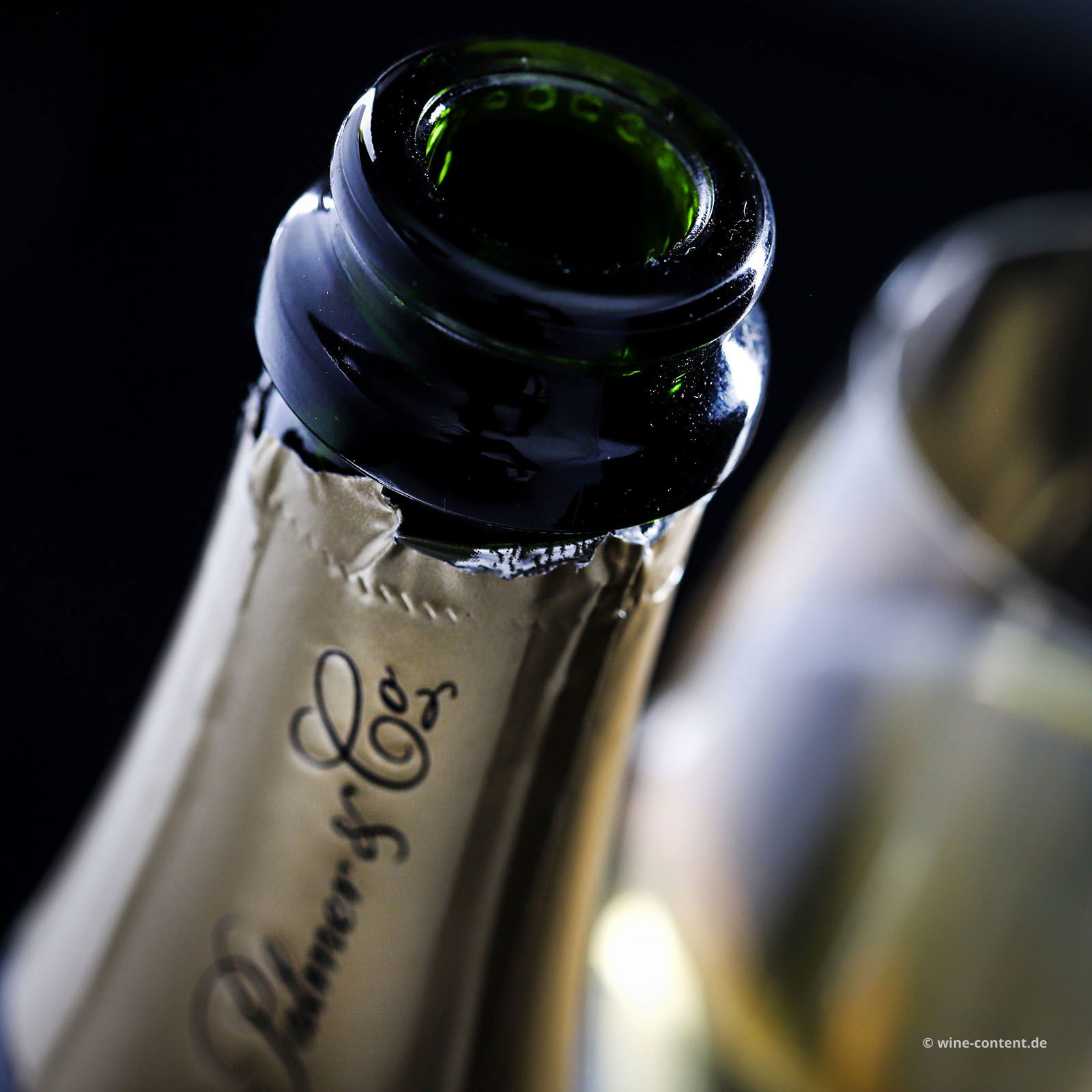 Champagner Grands Terroirs 2015 Brut