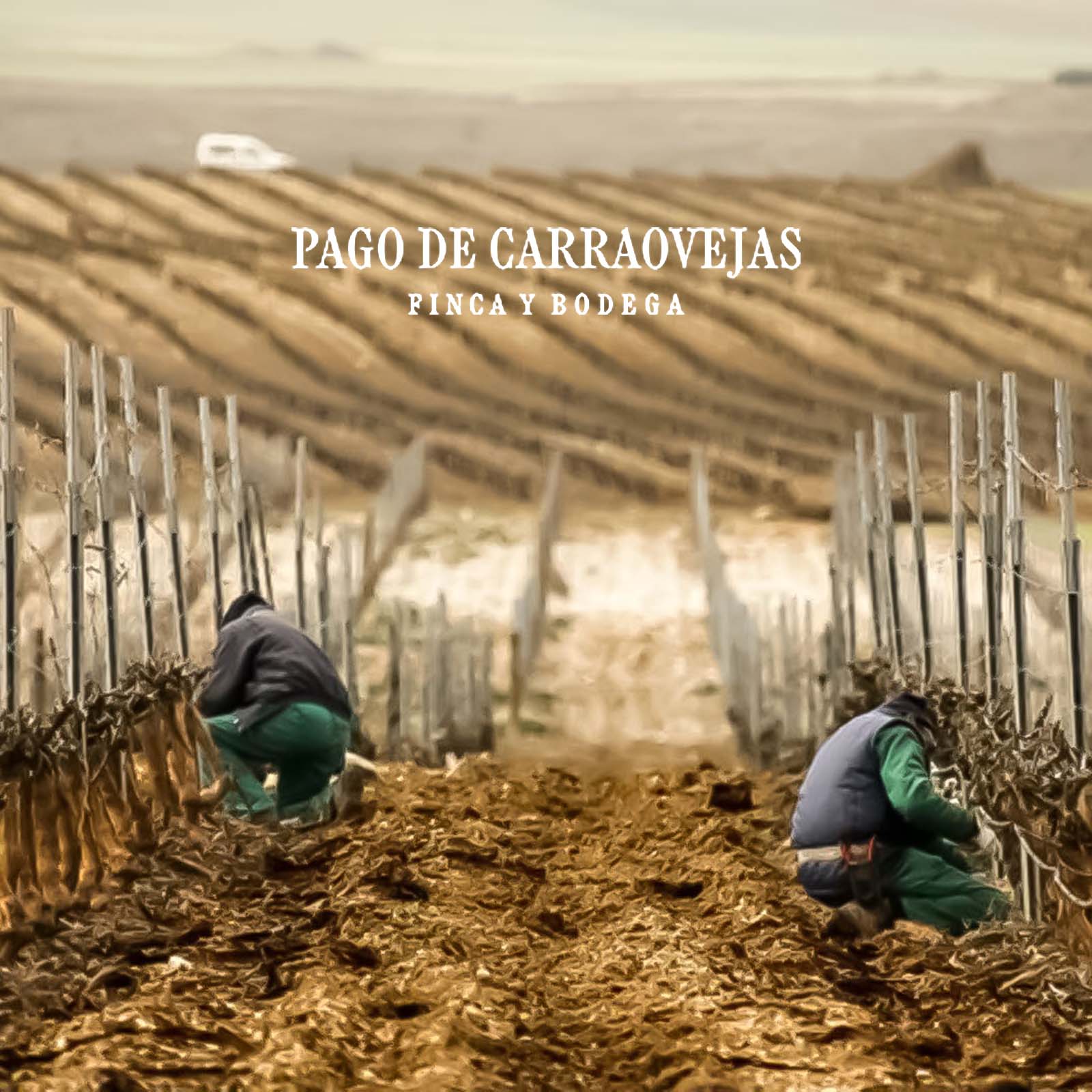 El Anejón 2019