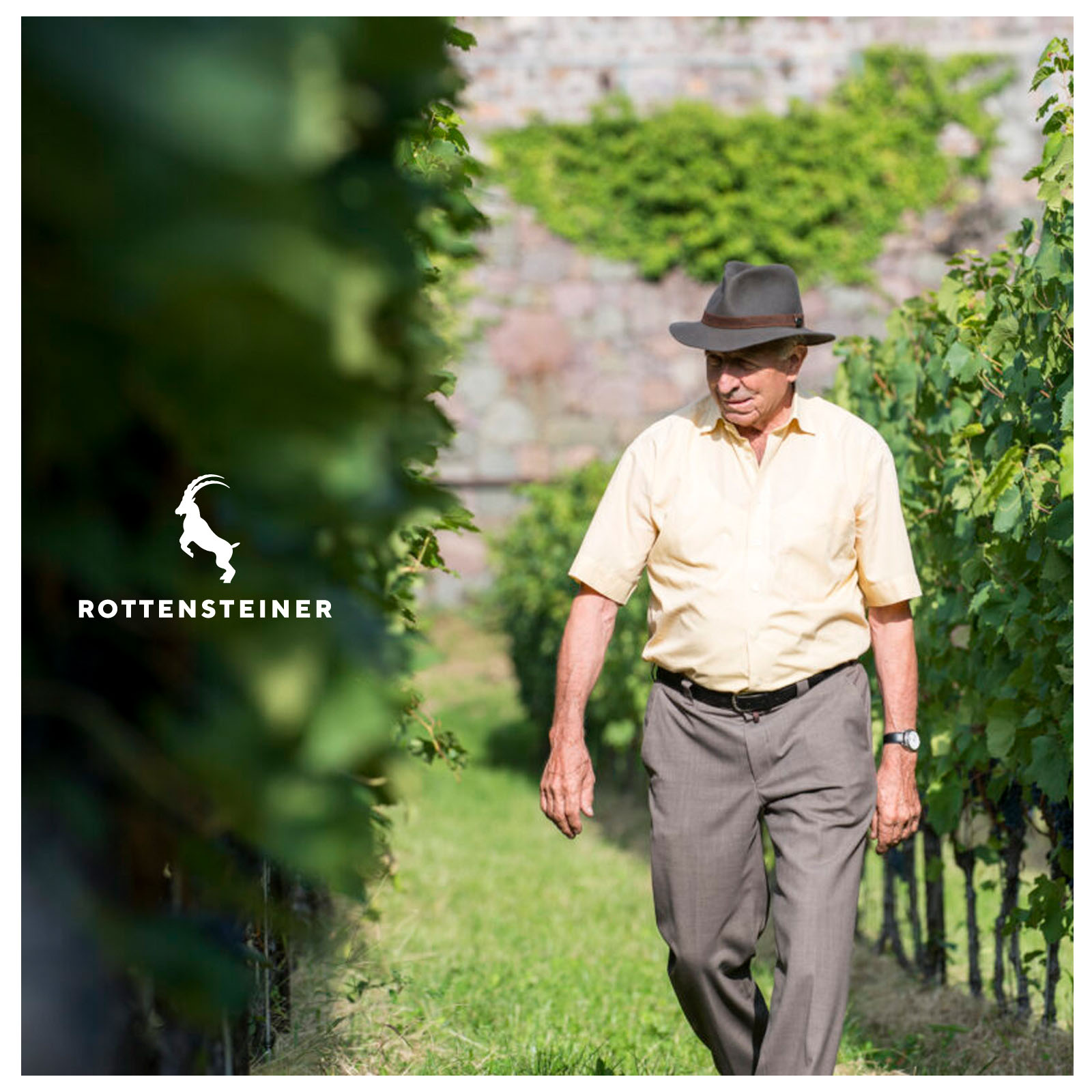 Sauvignon Blanc 2025