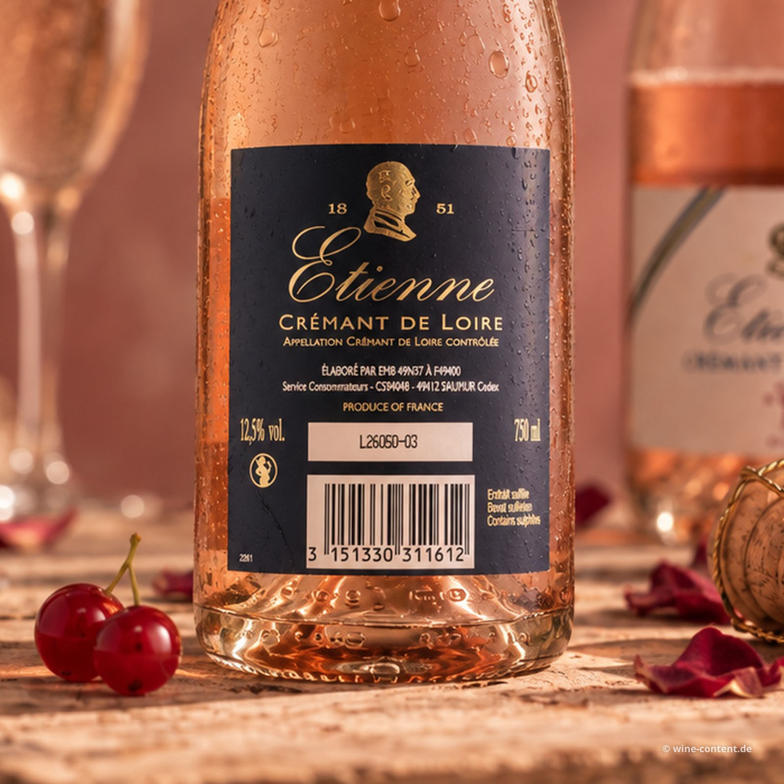 Crémant de Loire Rosé Etienne Brut