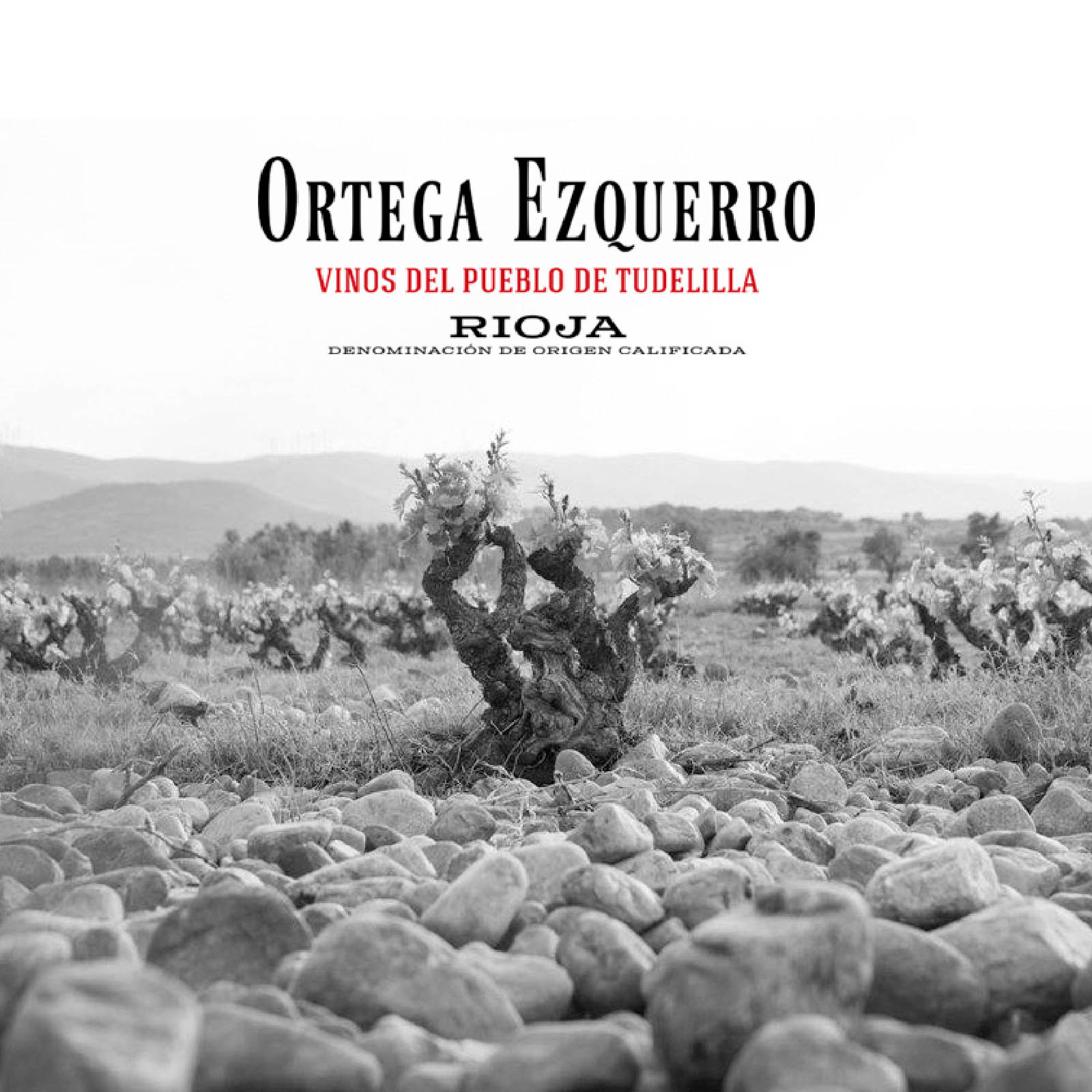 Rioja Blanco 2022