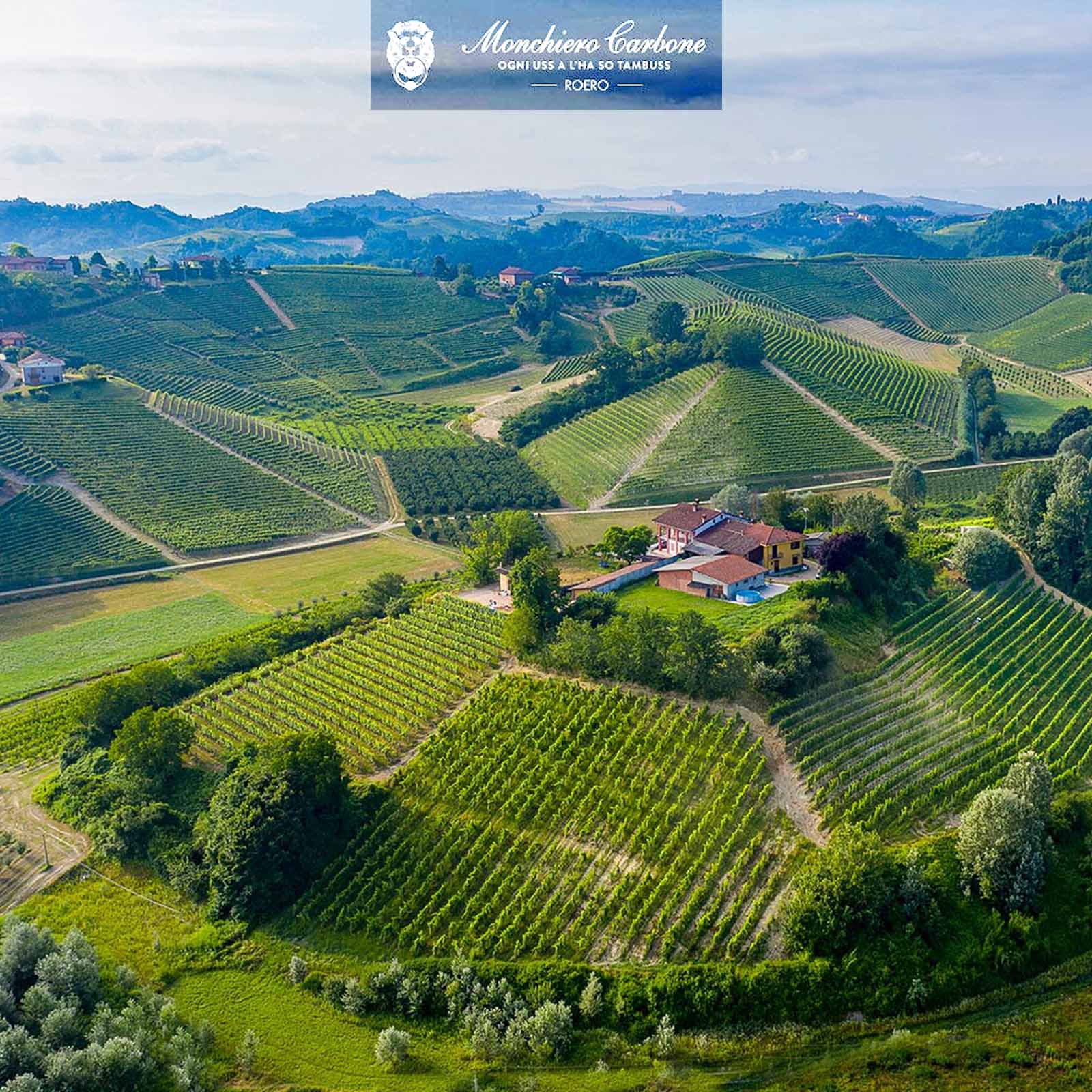 Arneis Roero Riserva 2020 Renesio Incisa