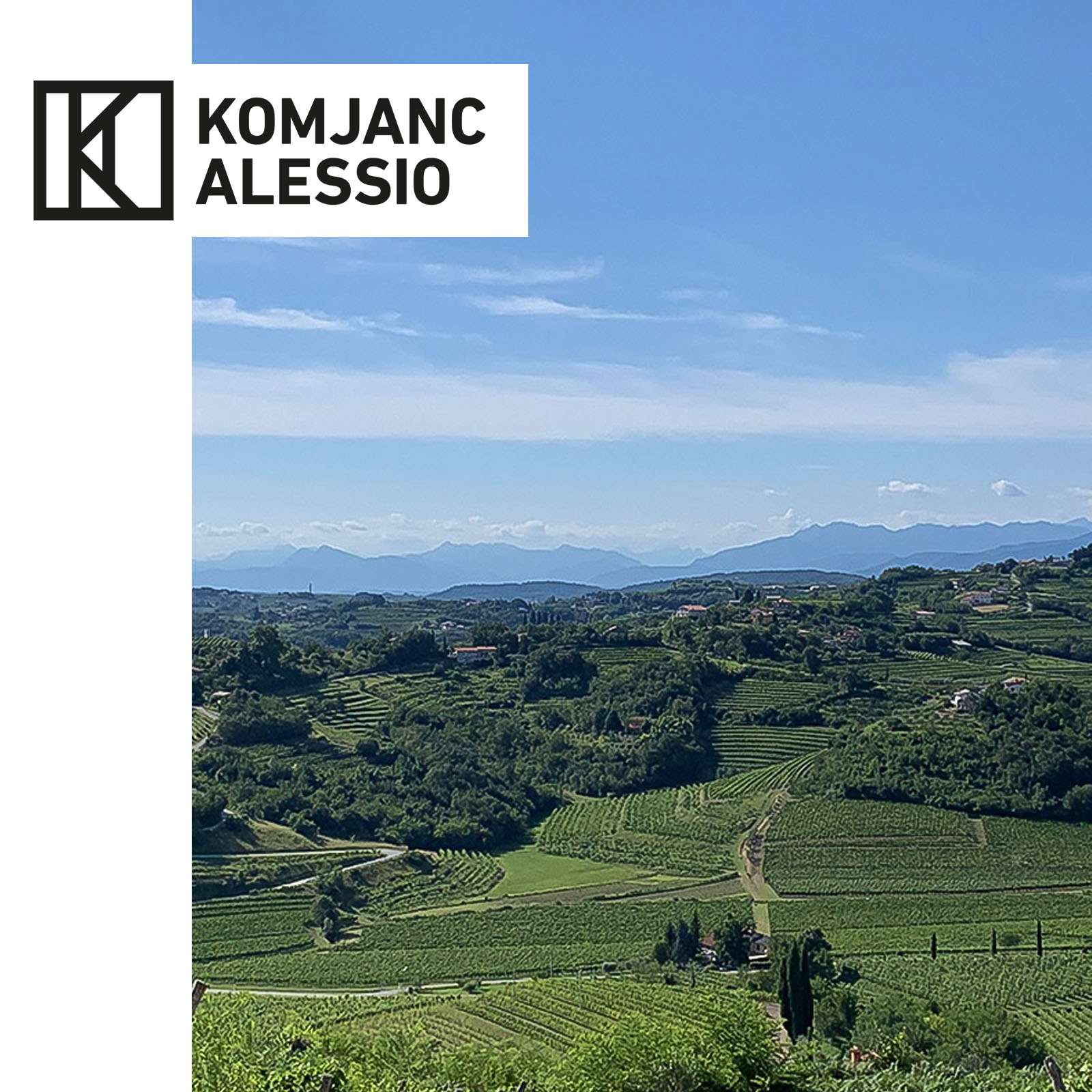 Ribolla Gialla Collio 2025