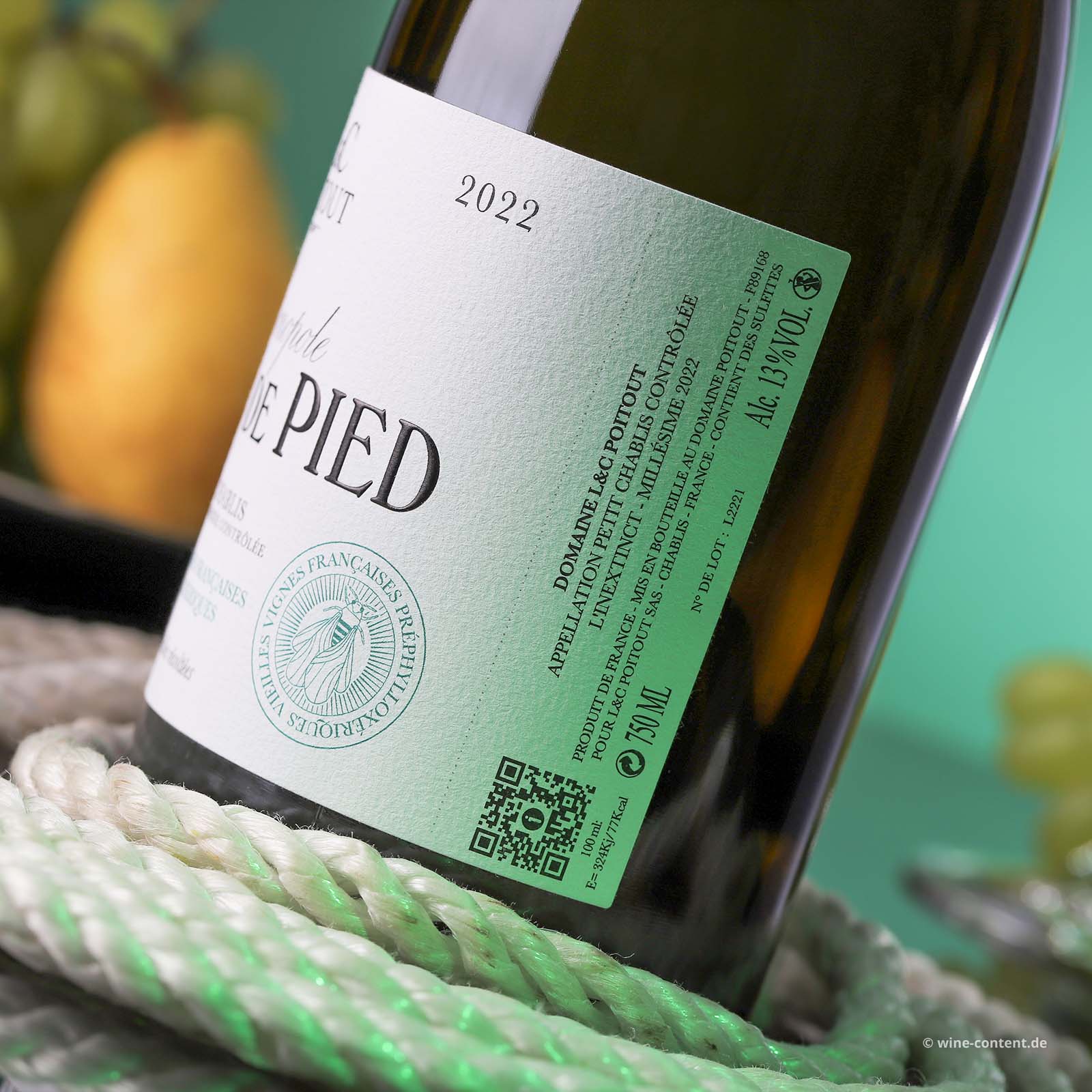 Petit Chablis 2022 Franc de Pied