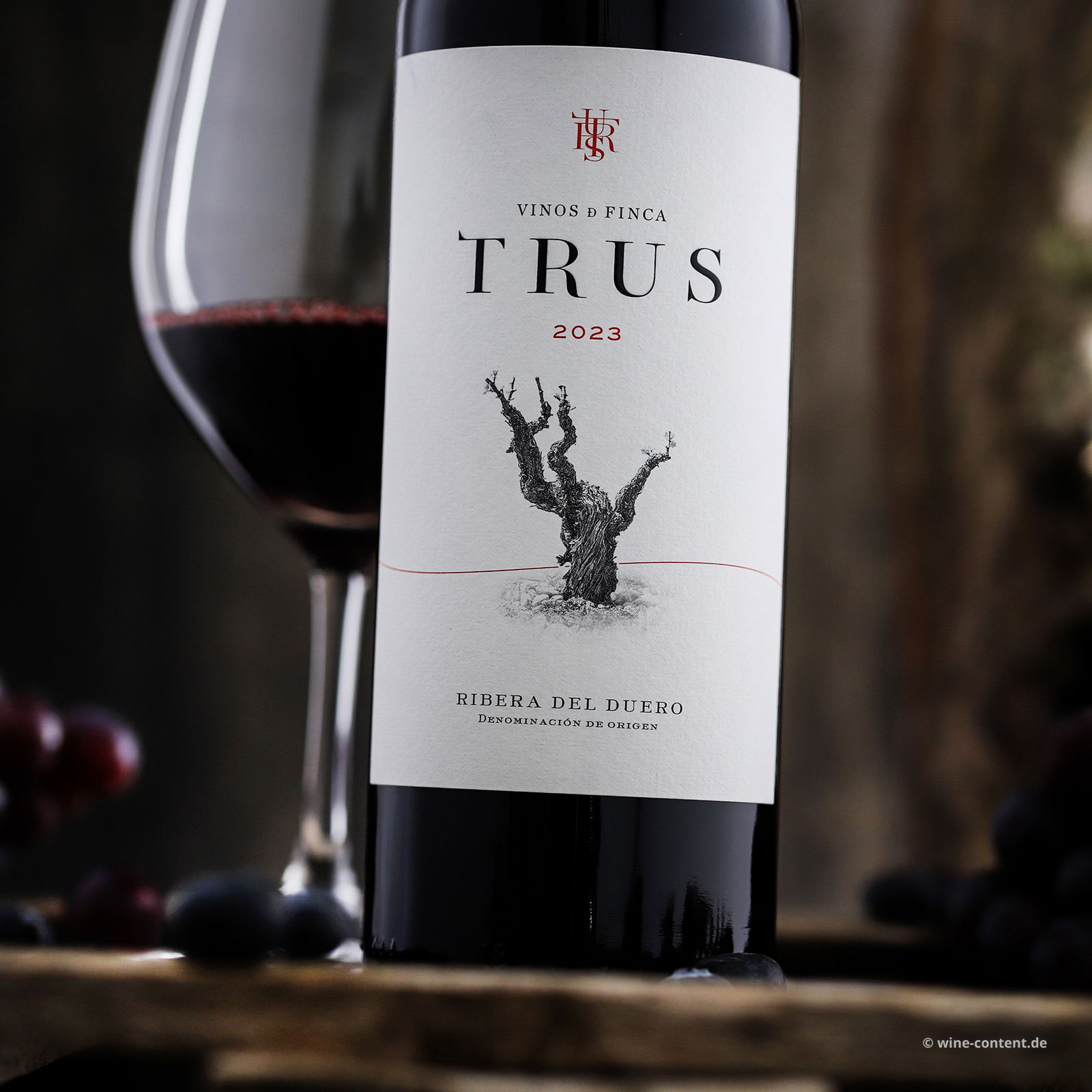 Tempranillo 2023 Roble