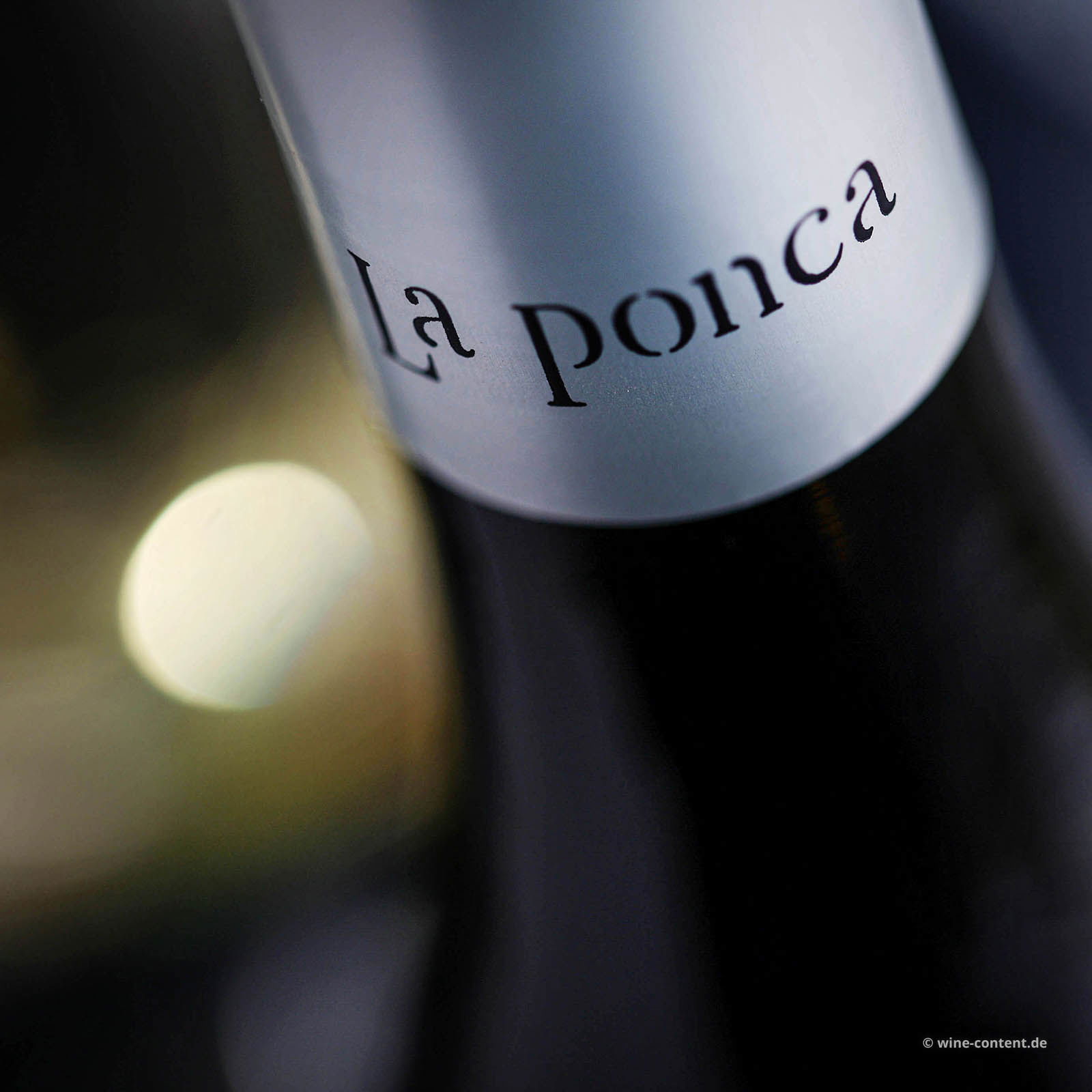 Friulano Collio 2022 Bio