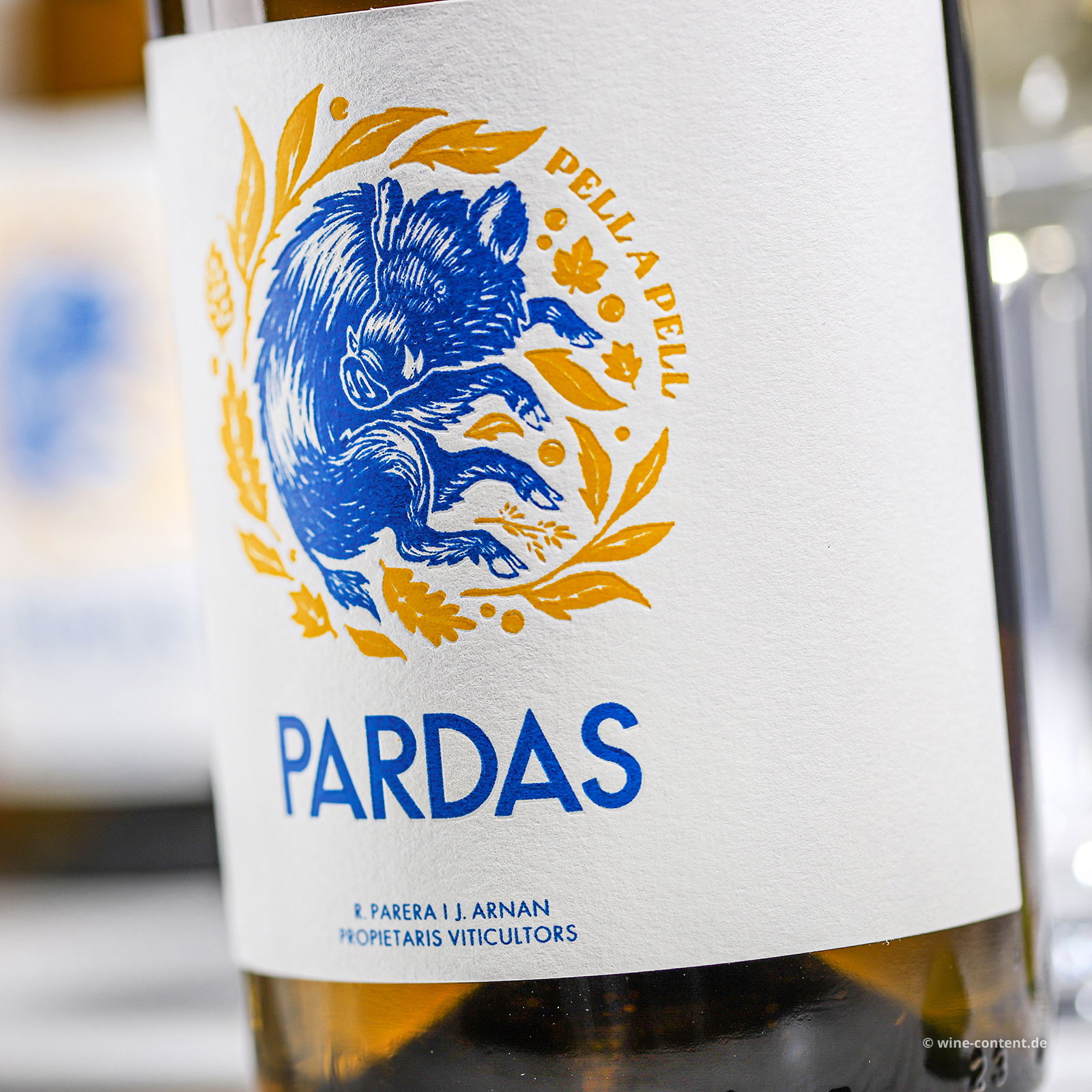 Pell a Pell 2022 Bio