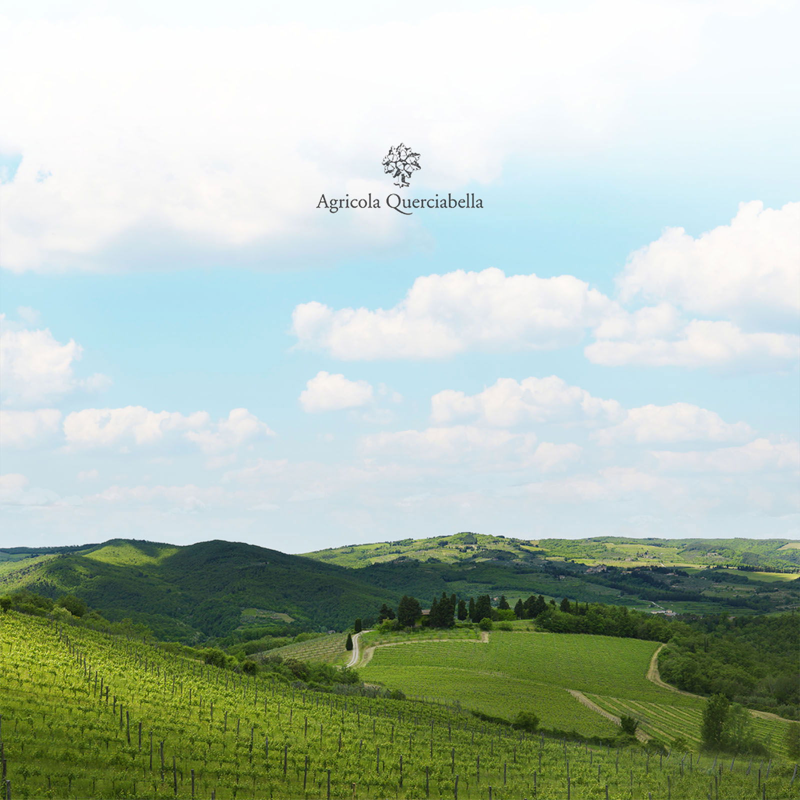 Chianti Classico 2021 Bio