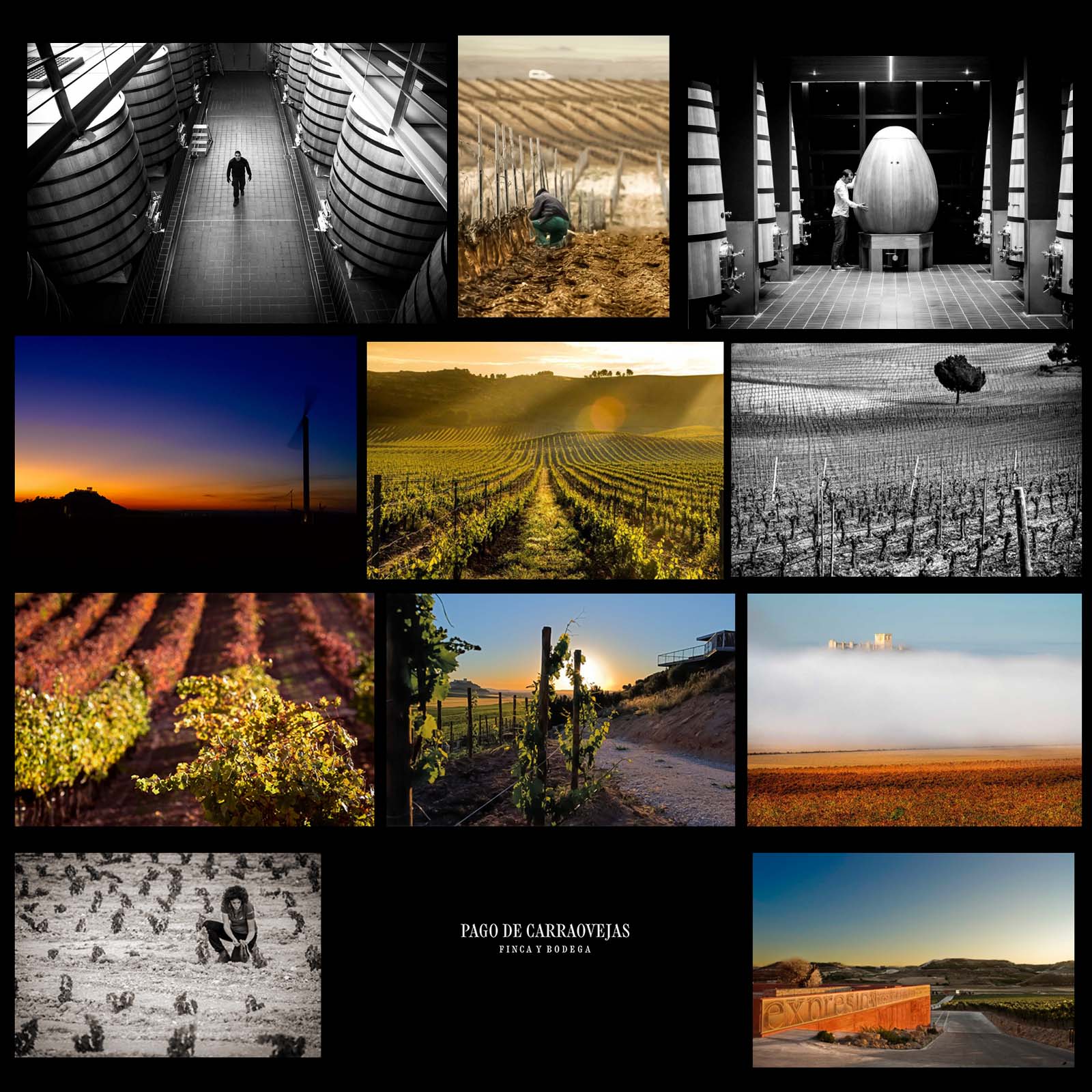 El Anejón 2021 Magnum