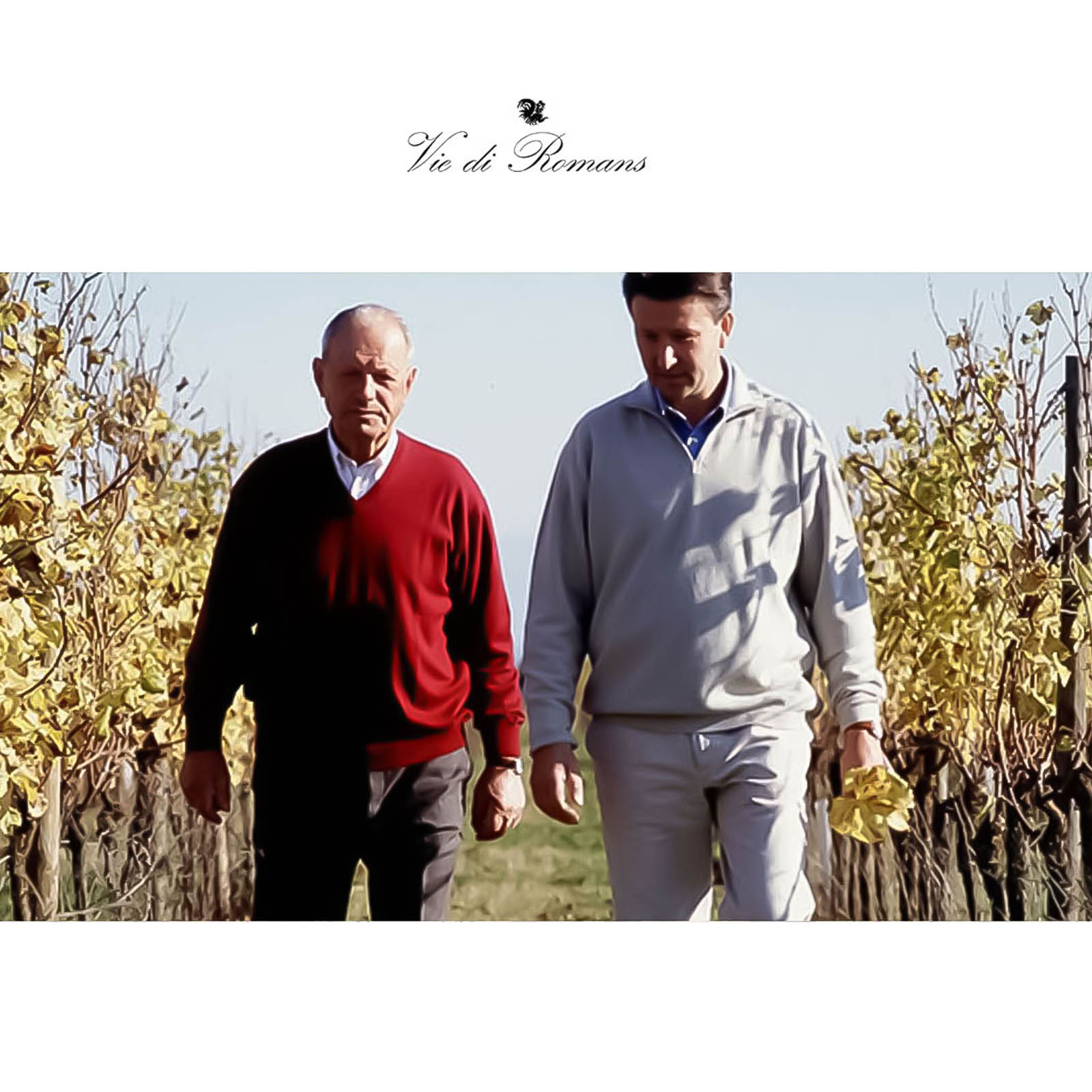 Sauvignon Blanc 2023 Vieris