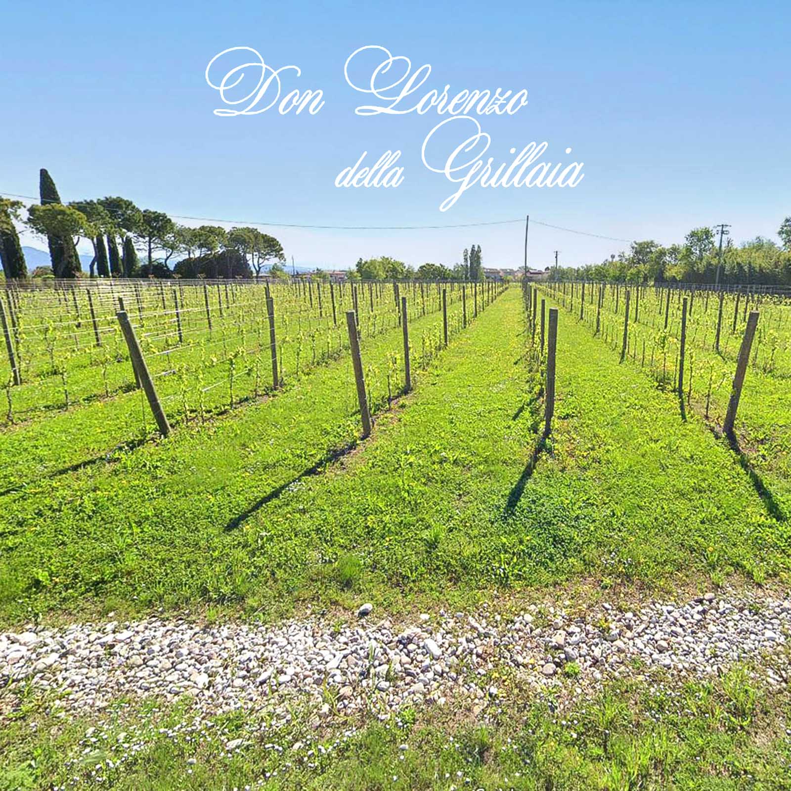 Lugana 2025 Don Lorenzo