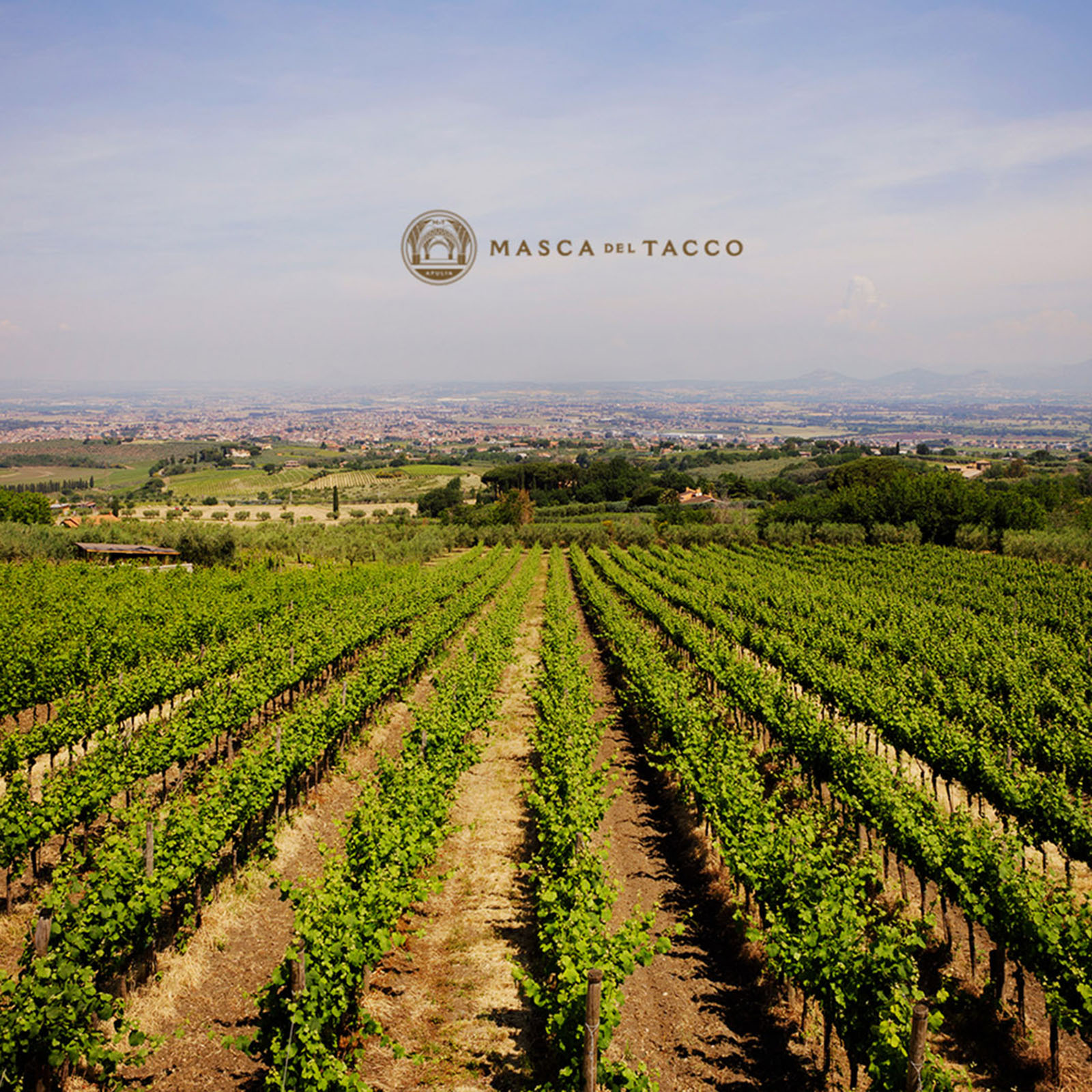 Primitivo di Manduria Riserva 2022 Li Filitti