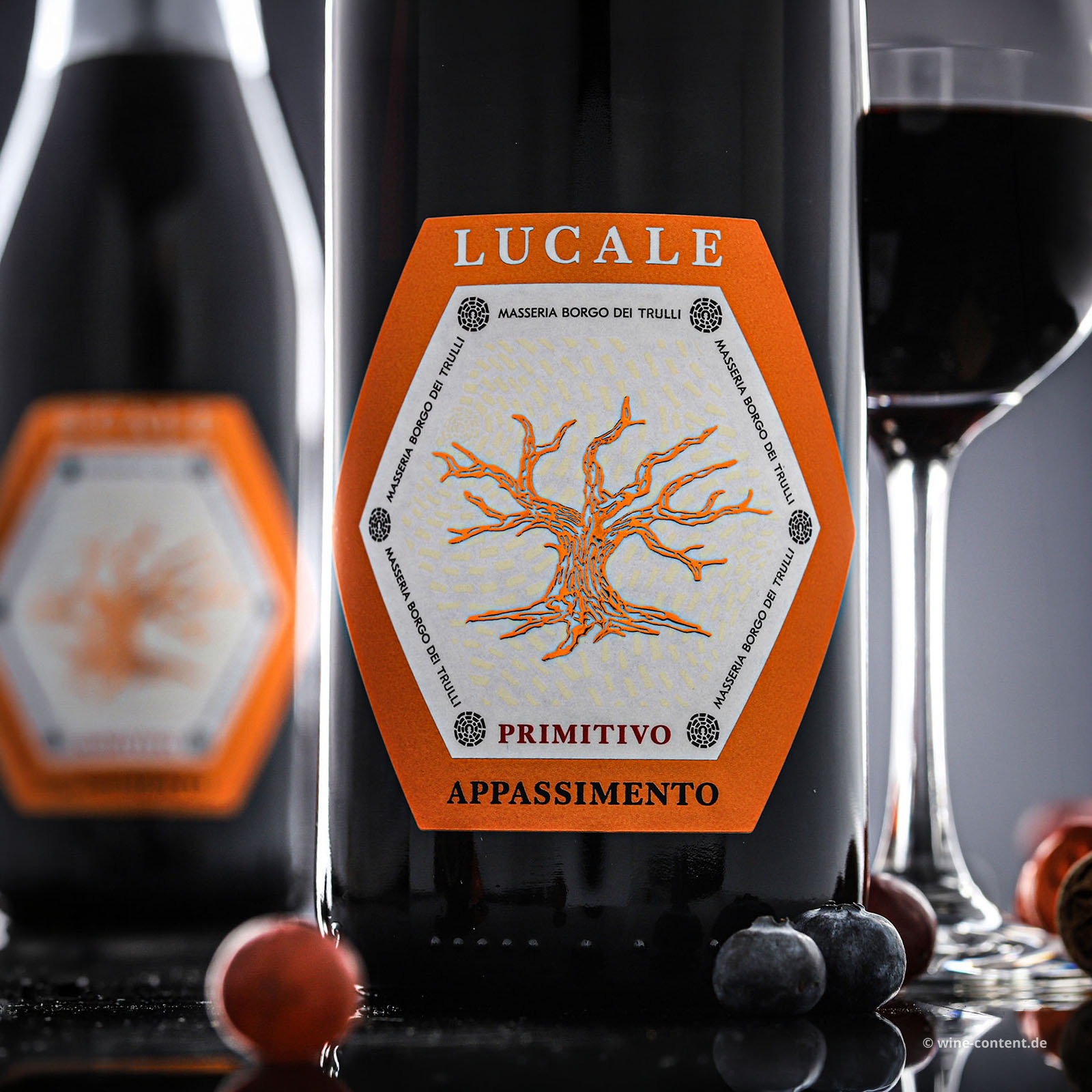 Primitivo Appassimento 2025 Lucale