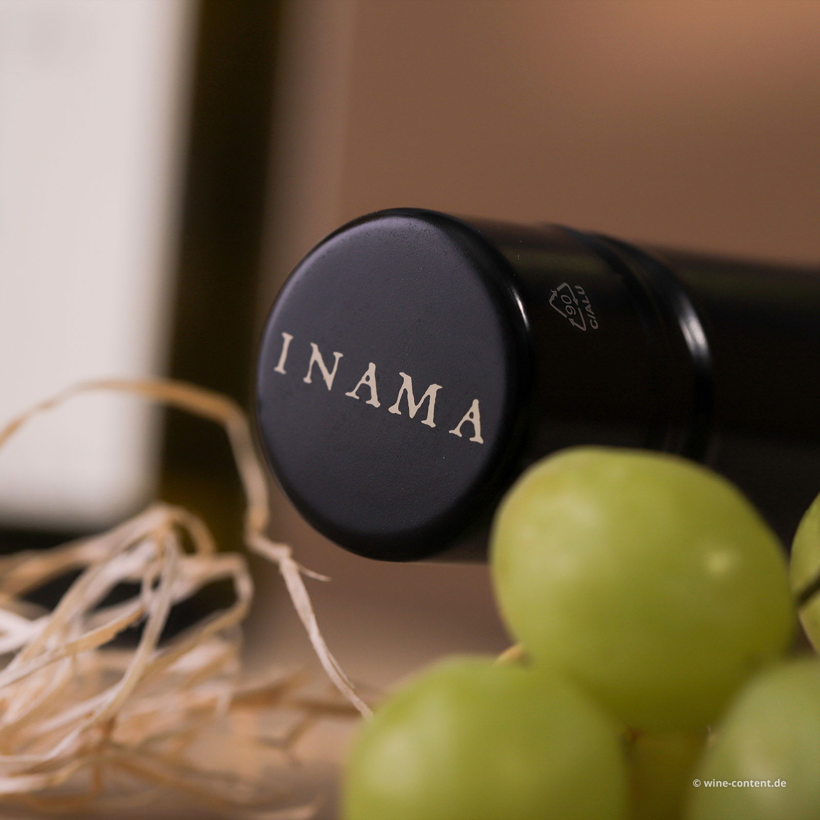 Sauvignon del Veneto 2024 Vulcaia