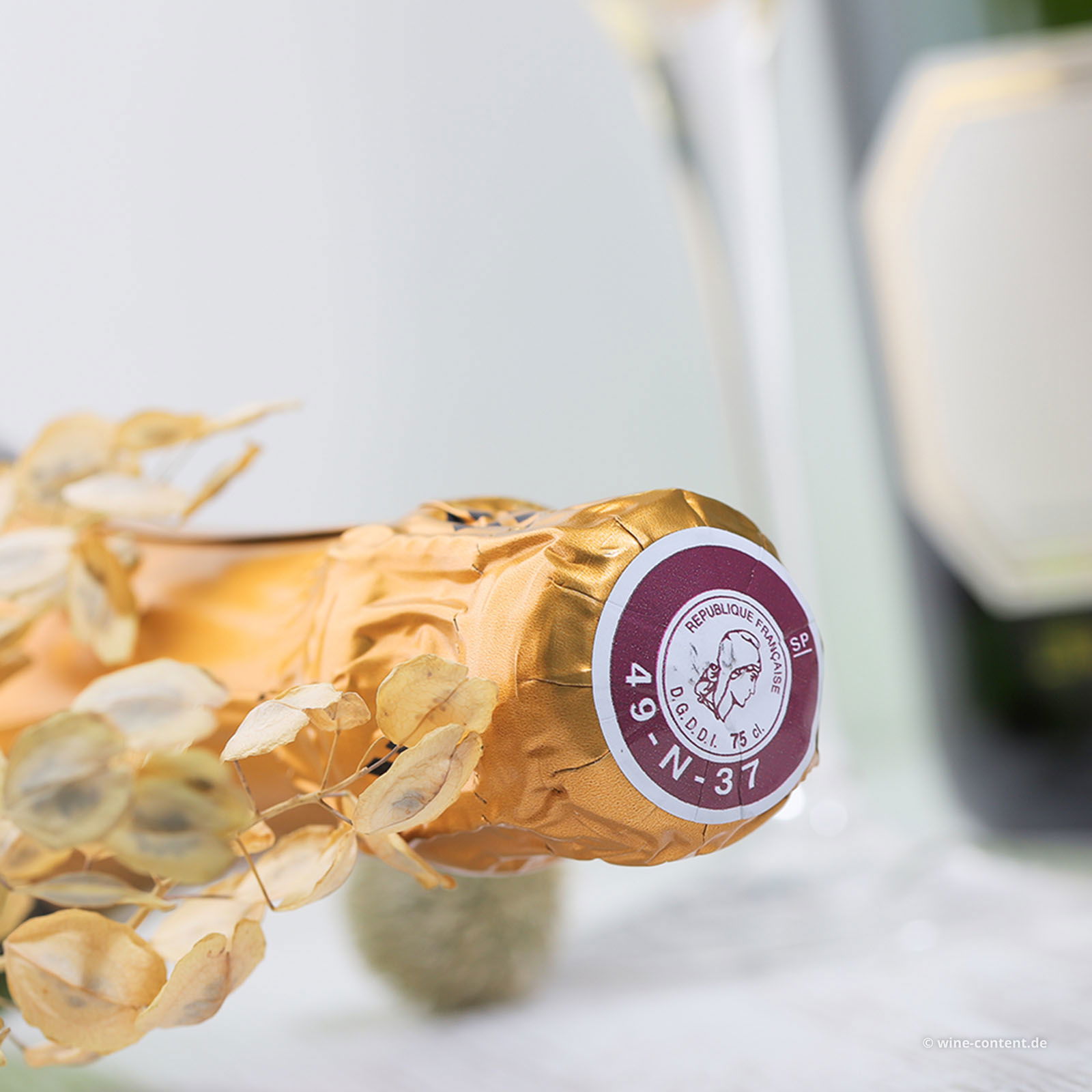 Crémant de Loire Excellence Brut