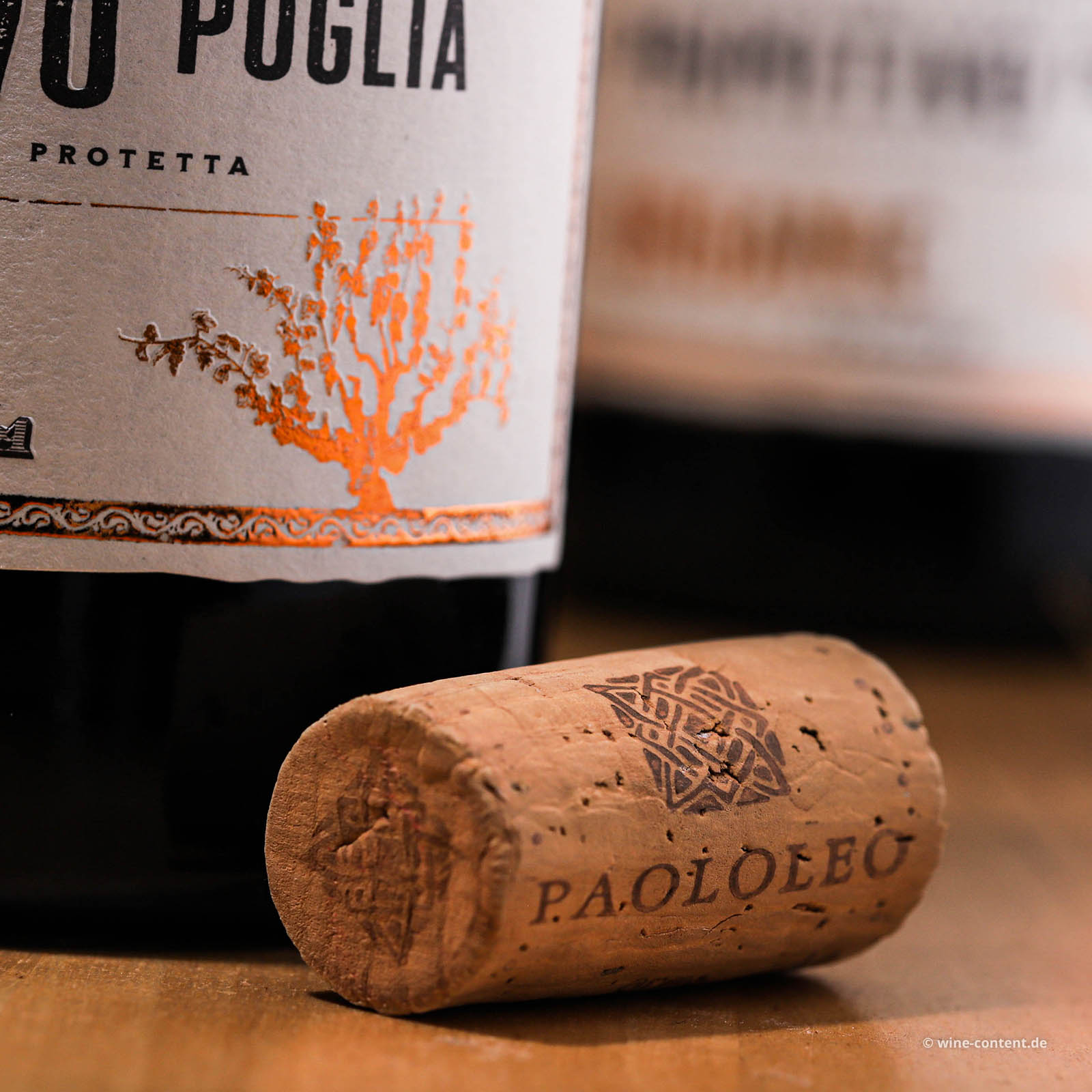 Primitivo 2022 Passitivo Bio