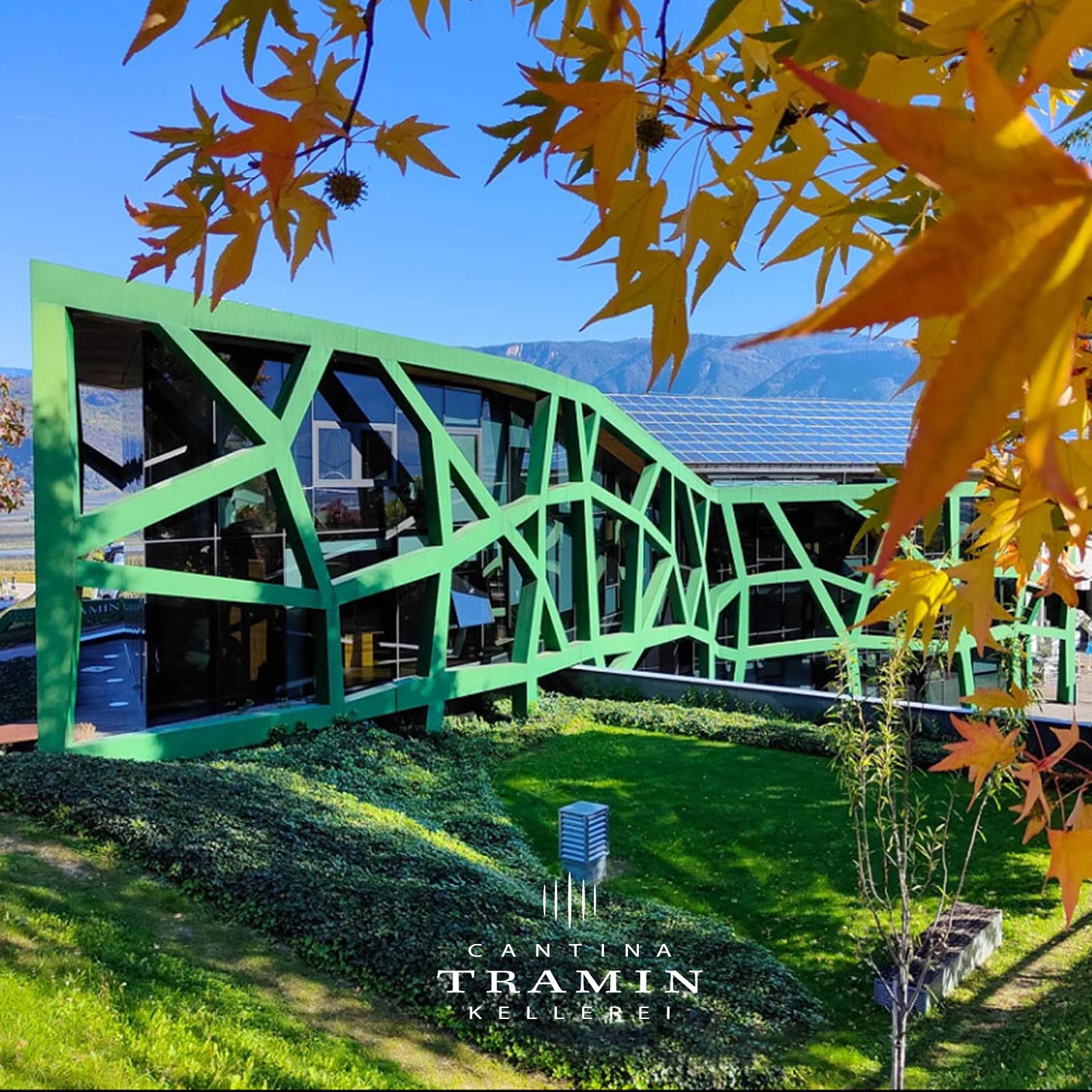 Chardonnay 2023 Glarea