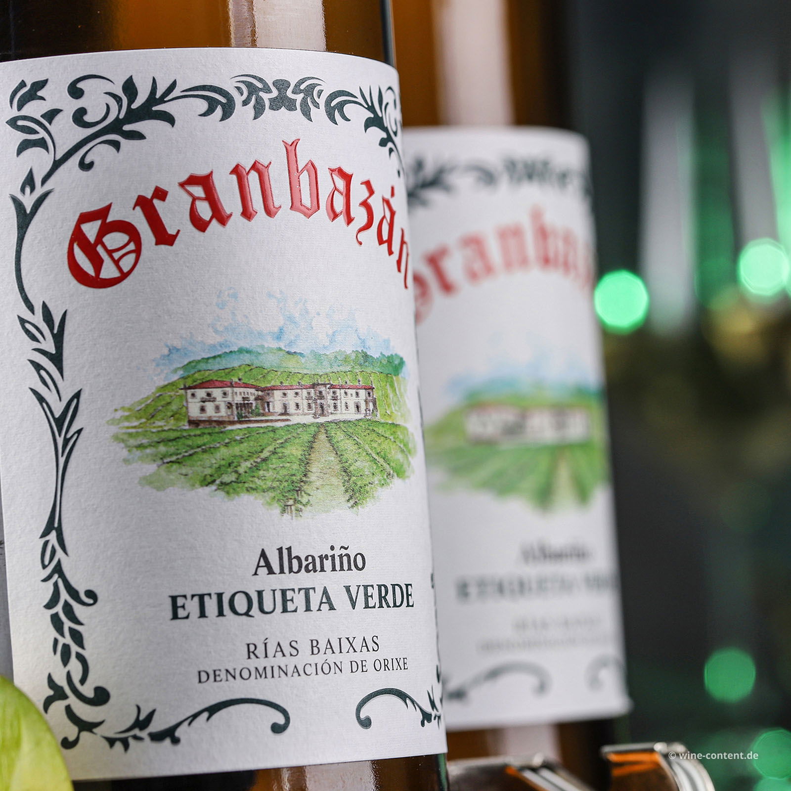 Albariño 2024 Etiqueta Verde