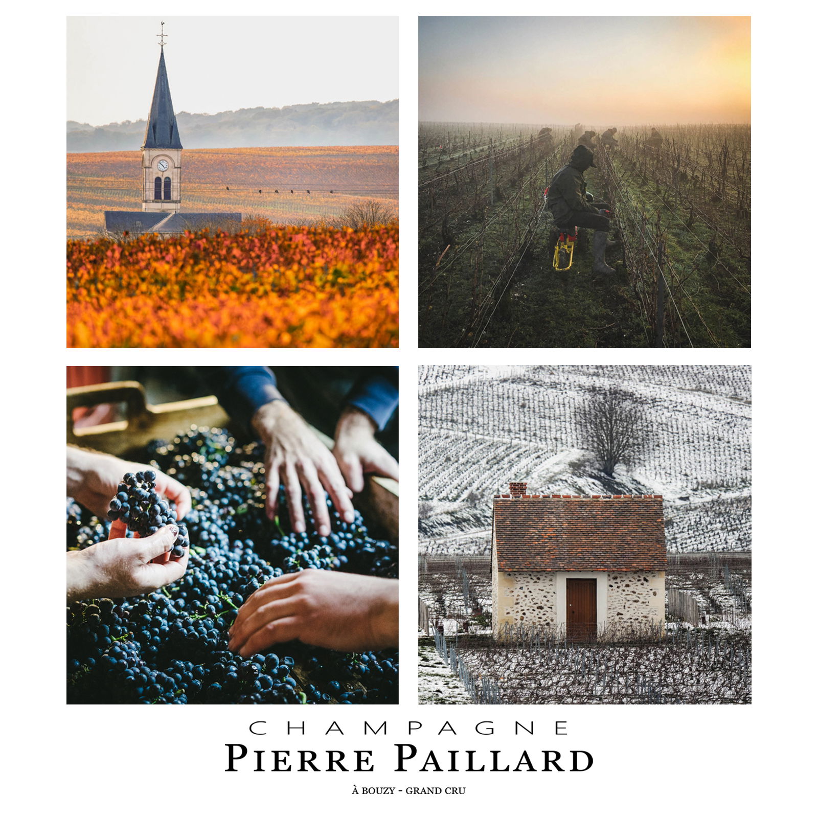 Champagner Les Maillerettes 2020 Bouzy Grand Cru Extra Brut